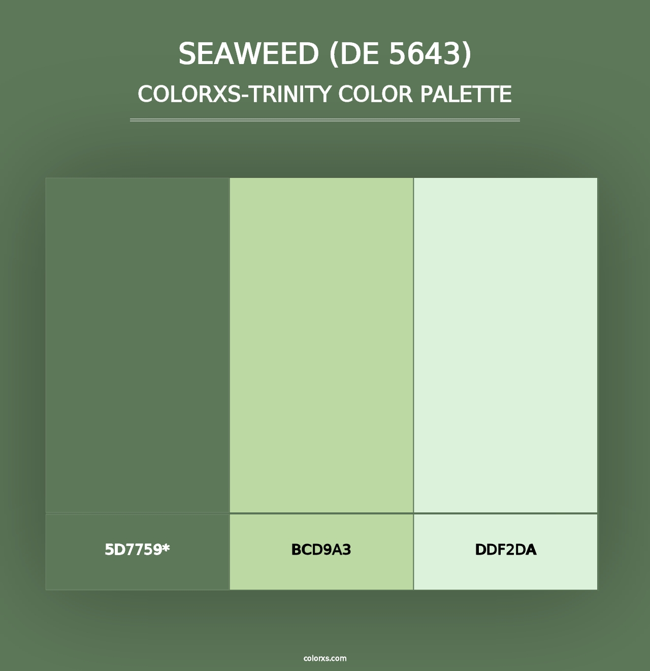 Seaweed (DE 5643) - Colorxs Trinity Palette