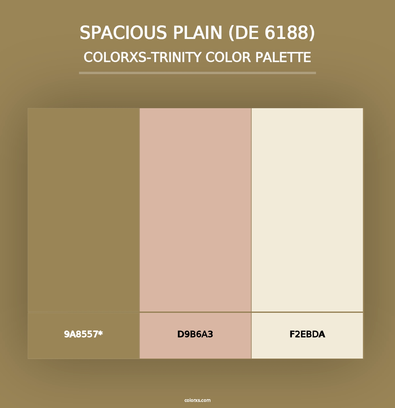 Spacious Plain (DE 6188) - Colorxs Trinity Palette