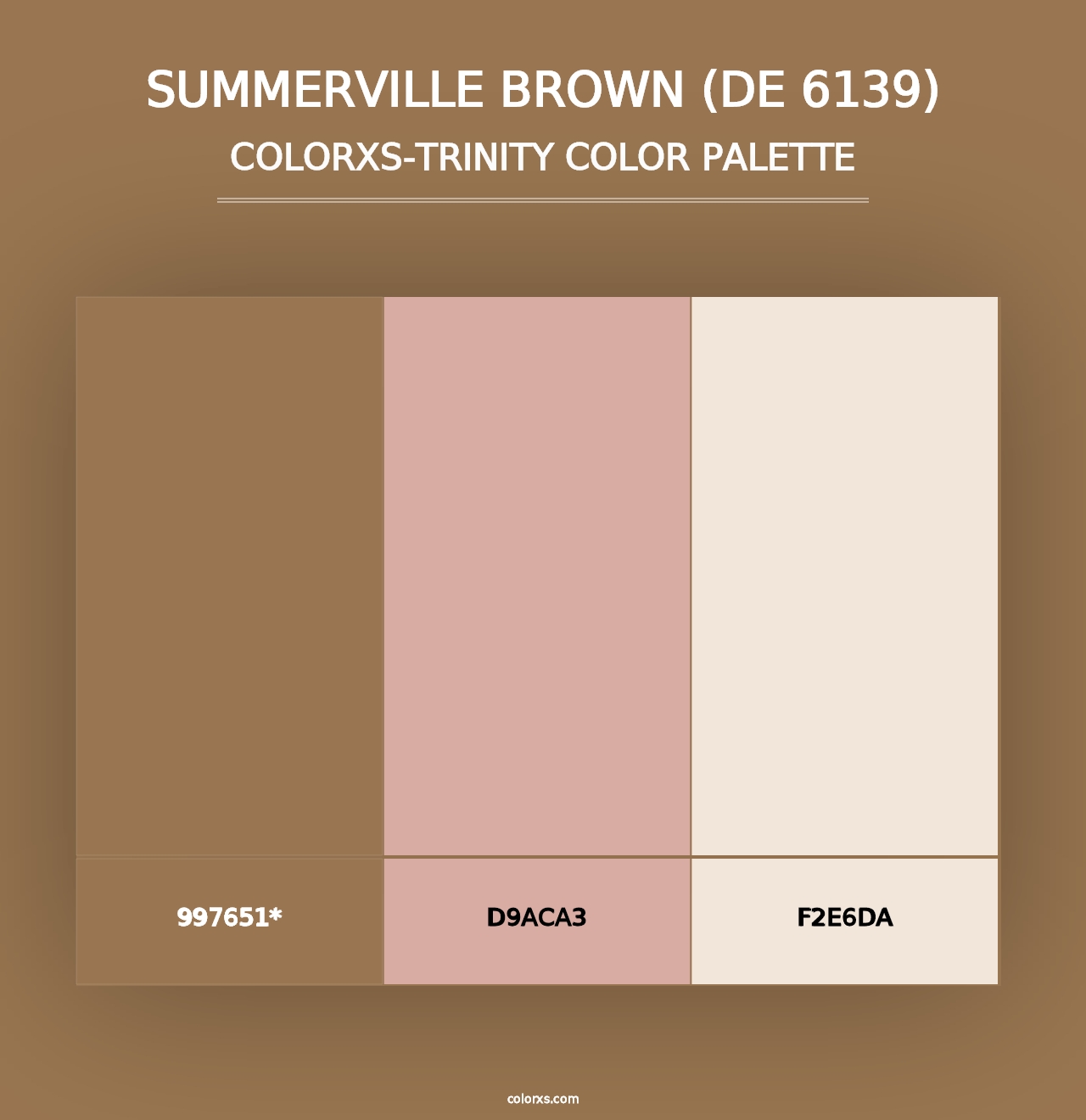 Summerville Brown (DE 6139) - Colorxs Trinity Palette