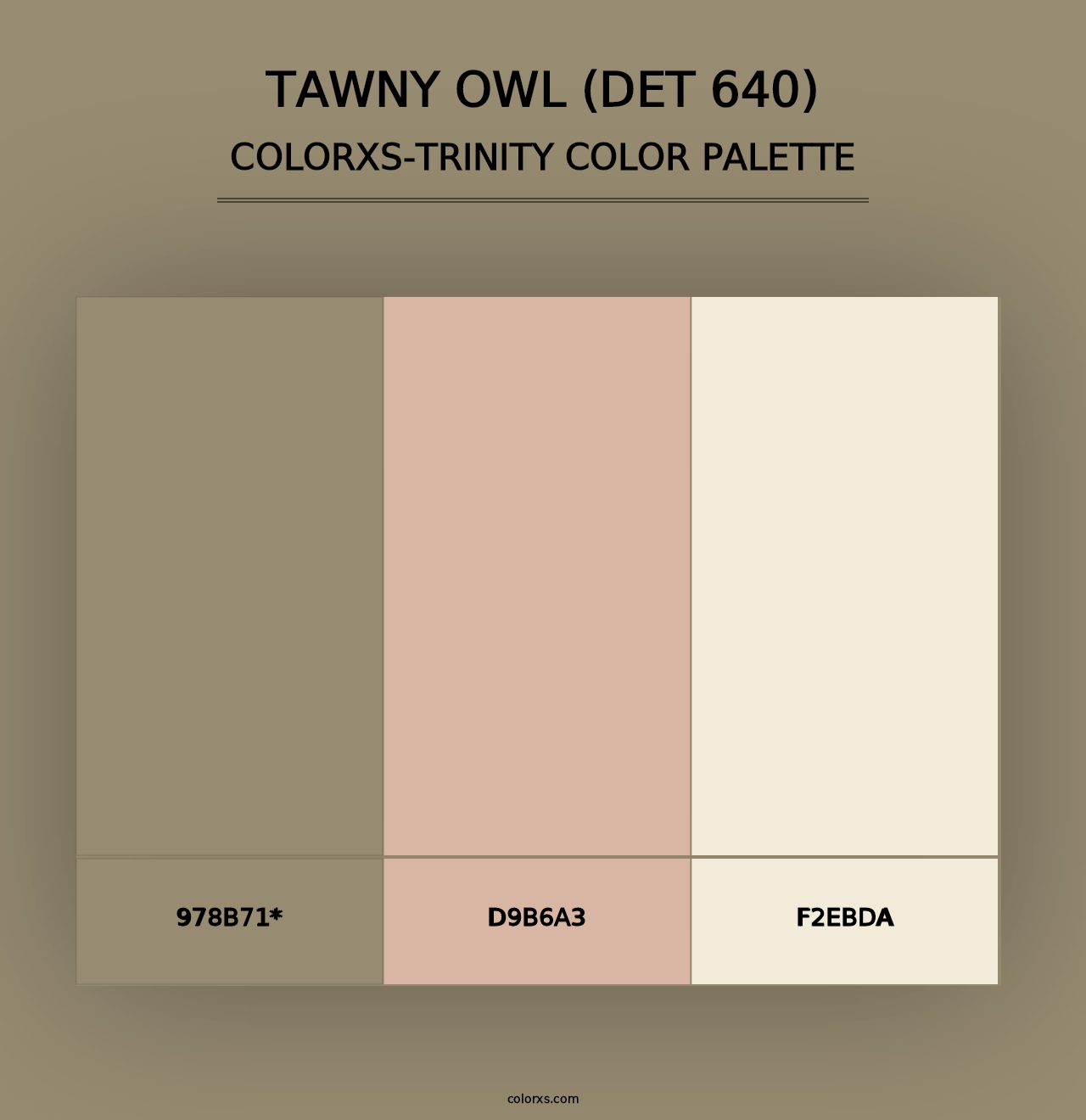 Tawny Owl (DET 640) - Colorxs Trinity Palette