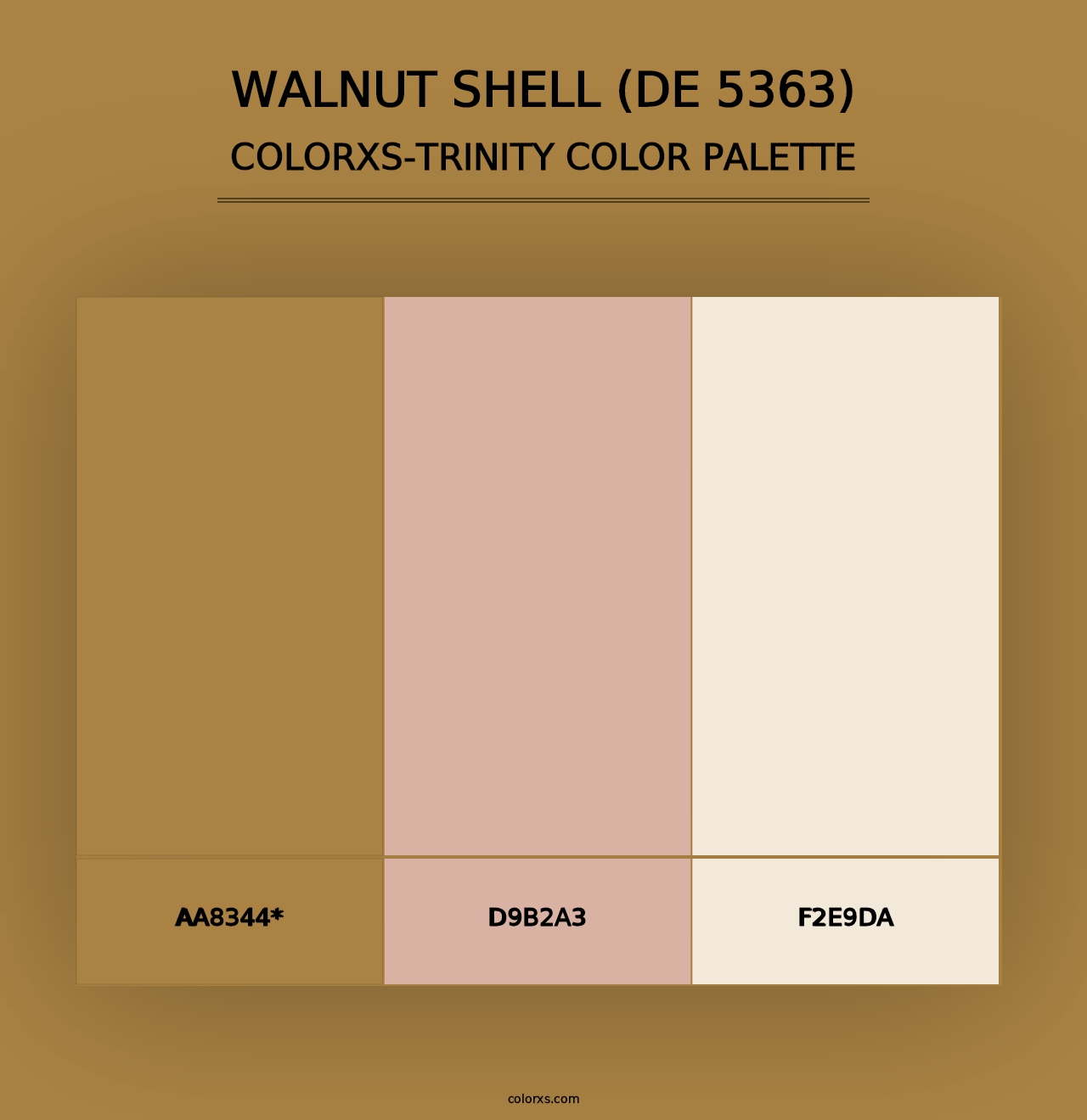 Walnut Shell (DE 5363) - Colorxs Trinity Palette