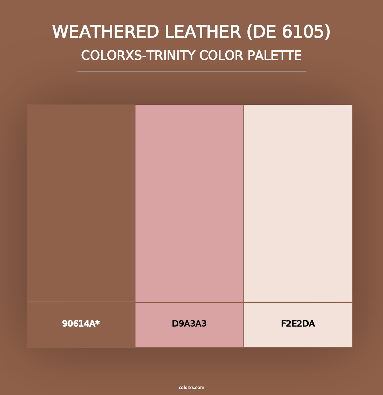 Weathered Leather (DE 6105) - Colorxs Trinity Palette