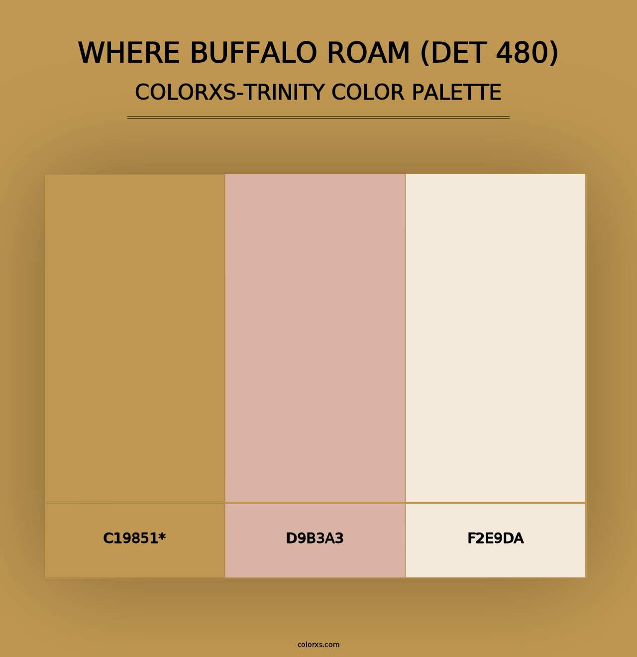 Where Buffalo Roam (DET 480) - Colorxs Trinity Palette