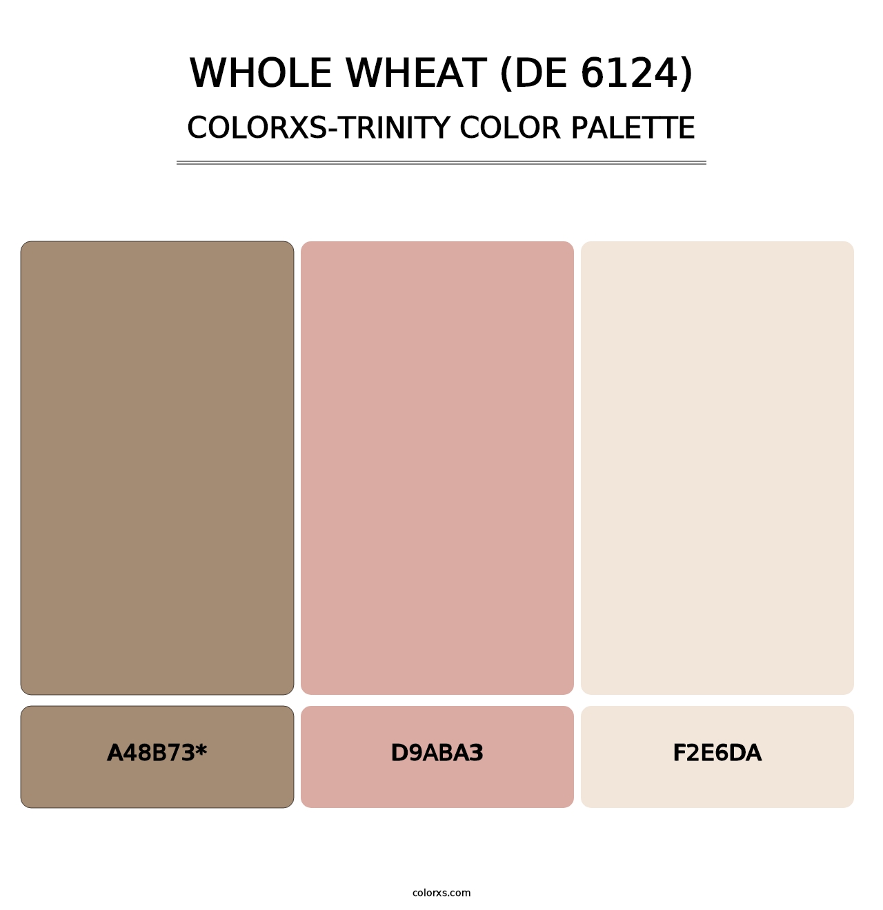 Whole Wheat (DE 6124) - Colorxs Trinity Palette