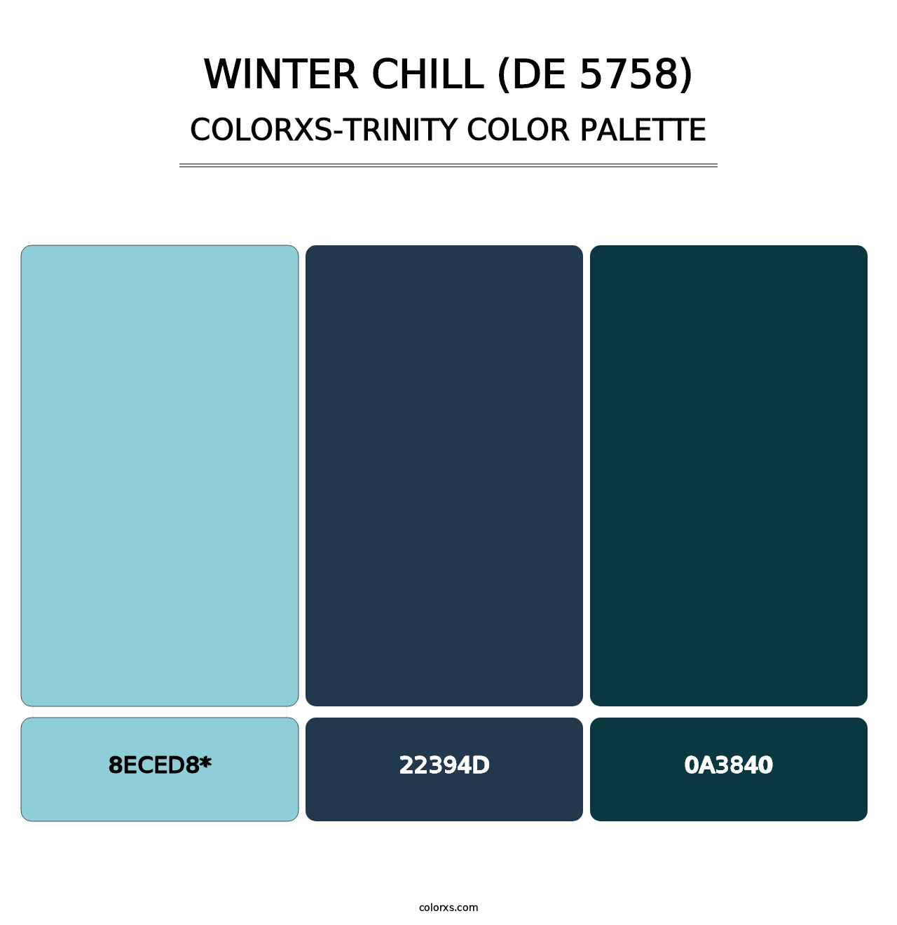 Winter Chill (DE 5758) - Colorxs Trinity Palette