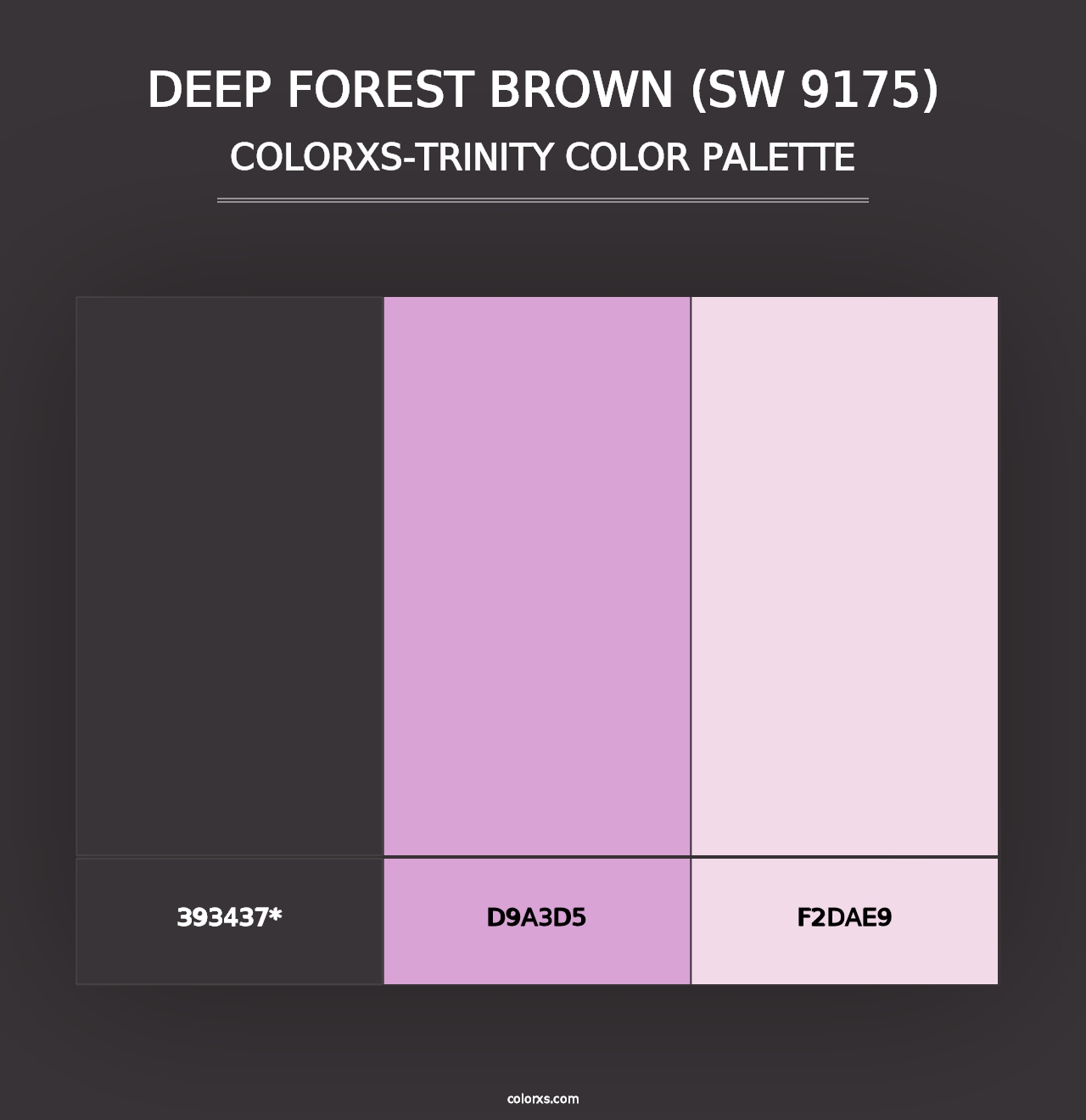 Deep Forest Brown (SW 9175) - Colorxs Trinity Palette