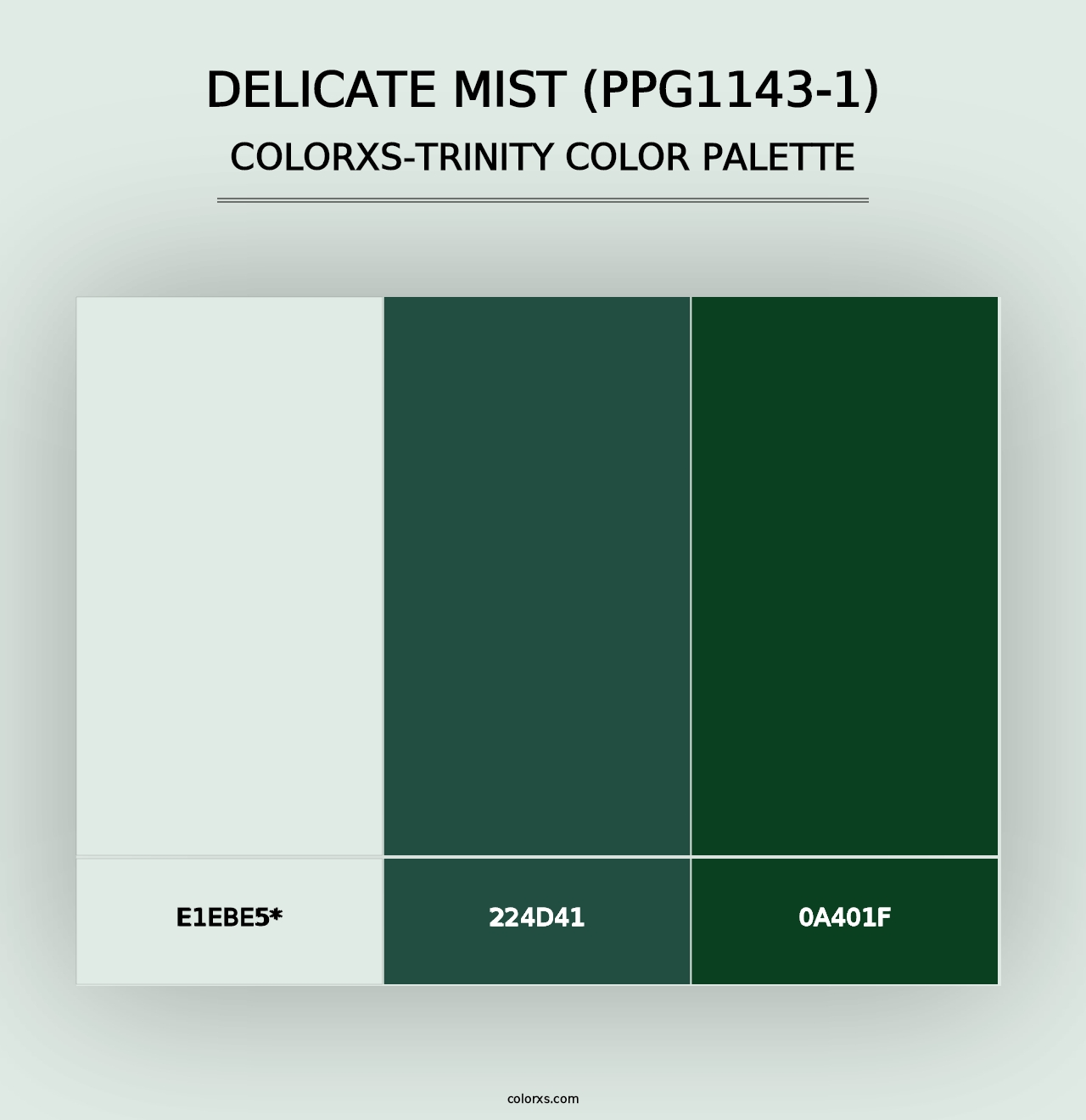 Delicate Mist (PPG1143-1) - Colorxs Trinity Palette