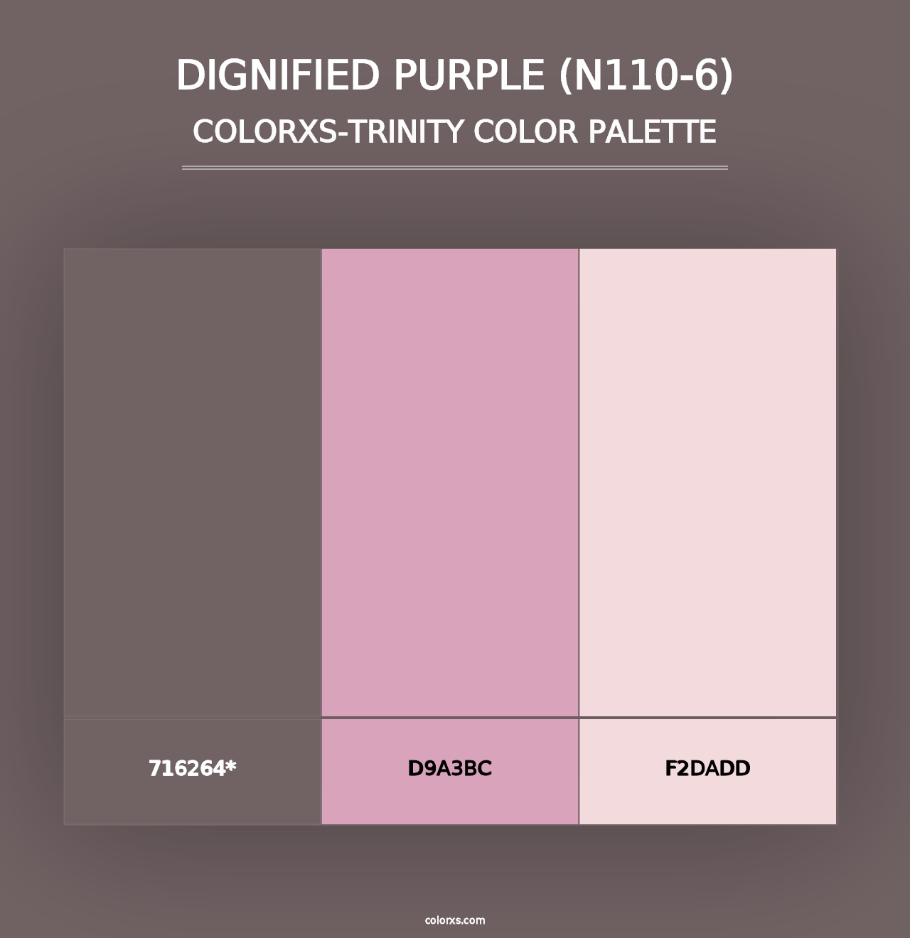 Dignified Purple (N110-6) - Colorxs Trinity Palette