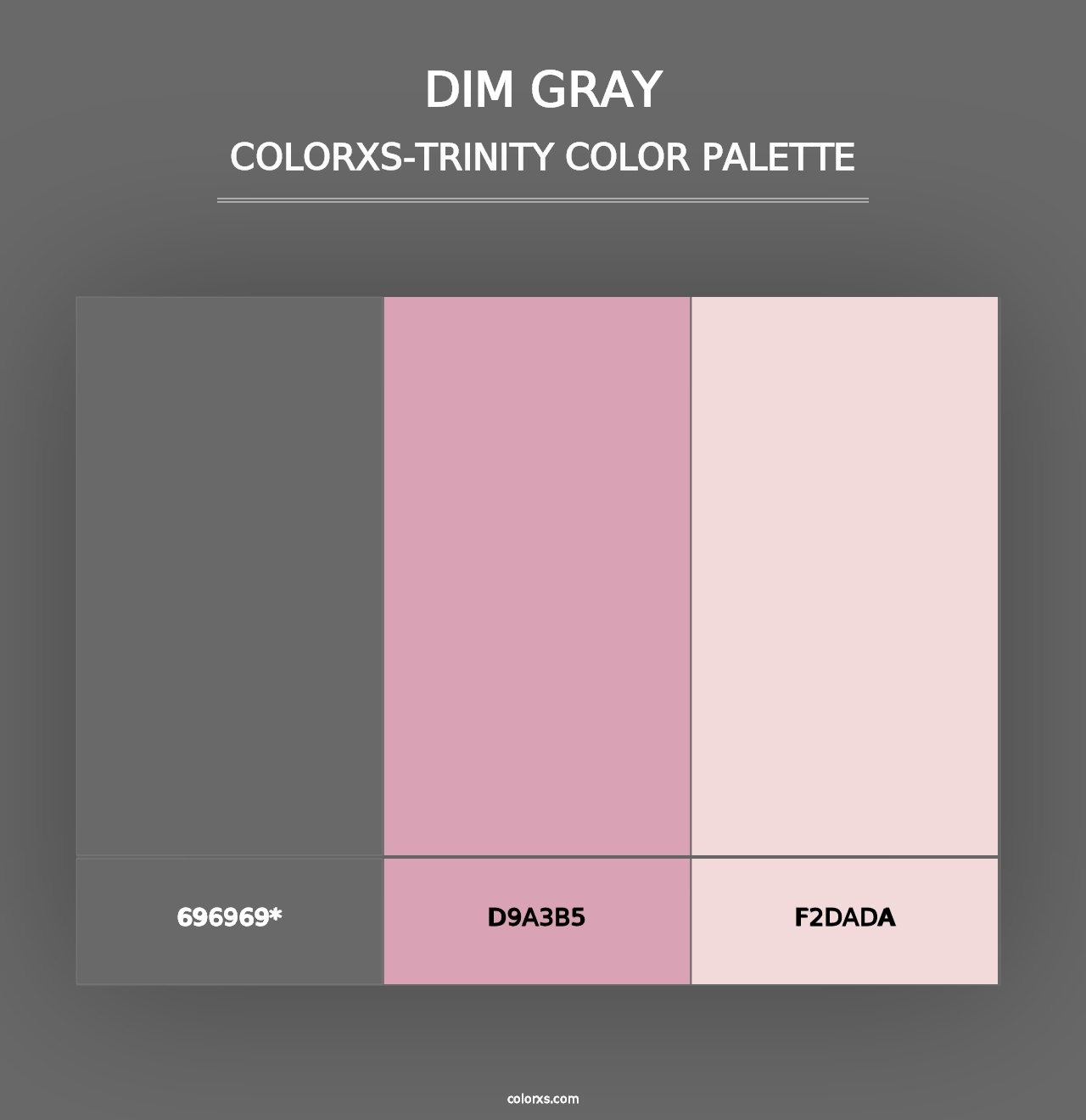 Dim Gray - Colorxs Trinity Palette