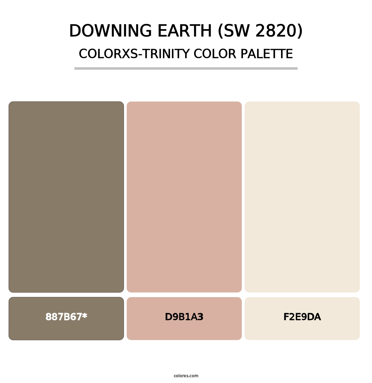 Downing Earth (SW 2820) - Colorxs Trinity Palette