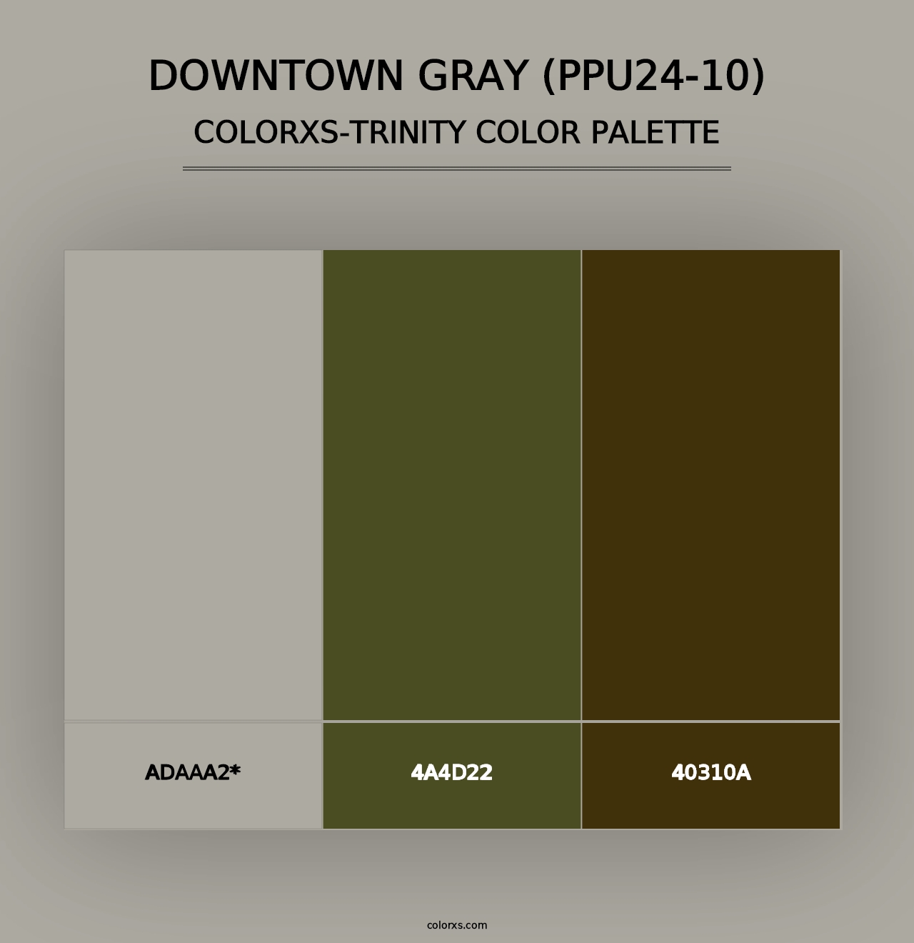 Downtown Gray (PPU24-10) - Colorxs Trinity Palette