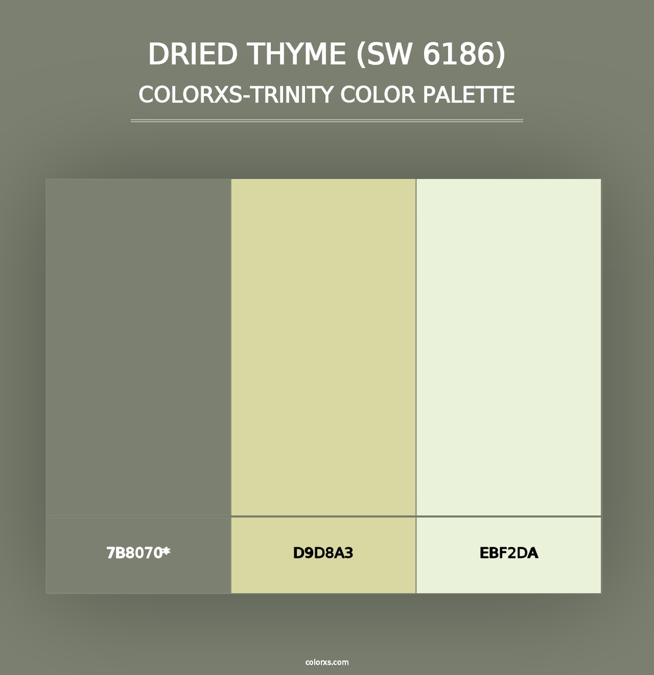 Dried Thyme (SW 6186) - Colorxs Trinity Palette