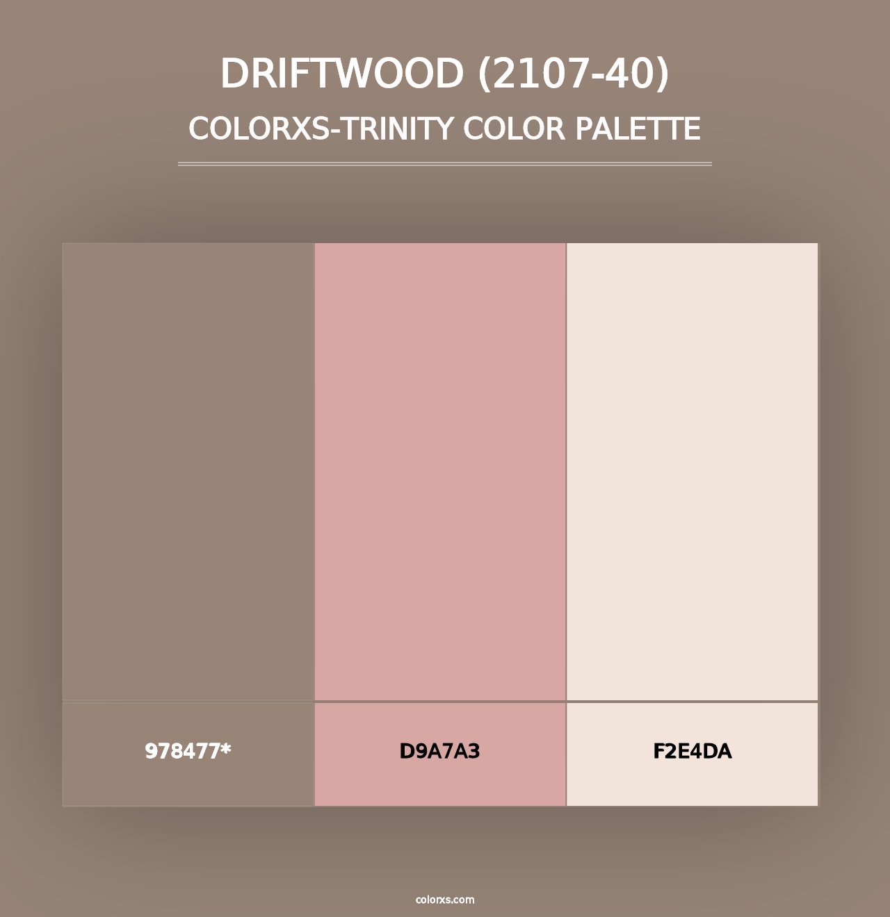 Driftwood (2107-40) - Colorxs Trinity Palette