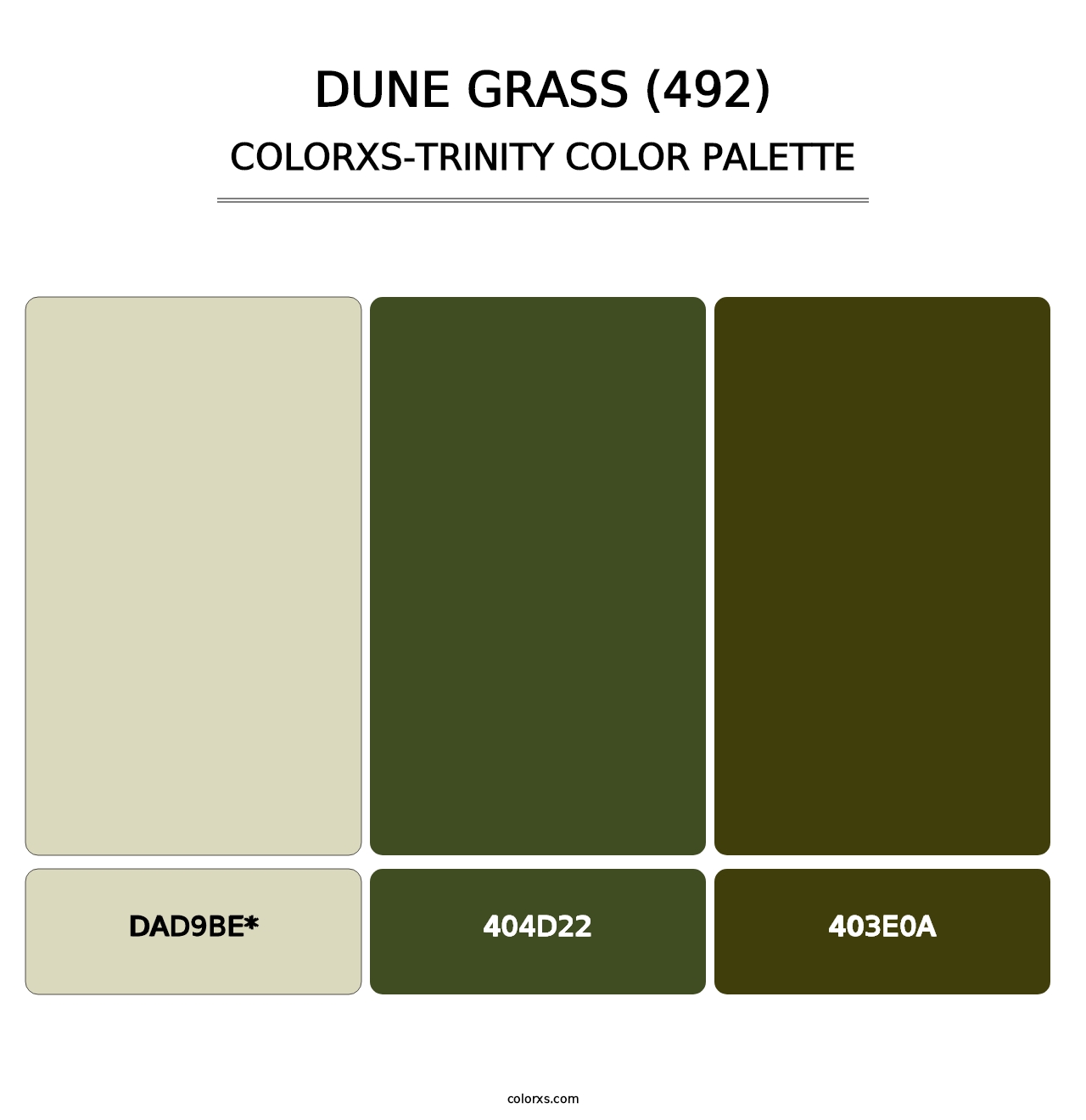 Dune Grass (492) - Colorxs Trinity Palette