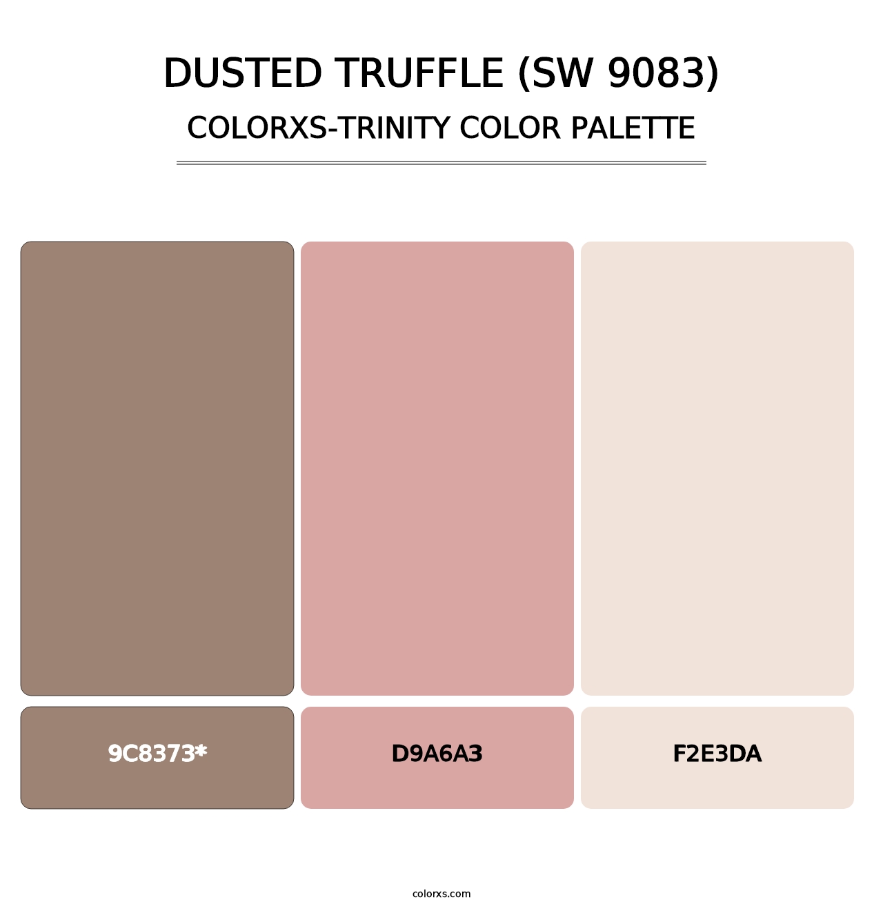 Dusted Truffle (SW 9083) - Colorxs Trinity Palette