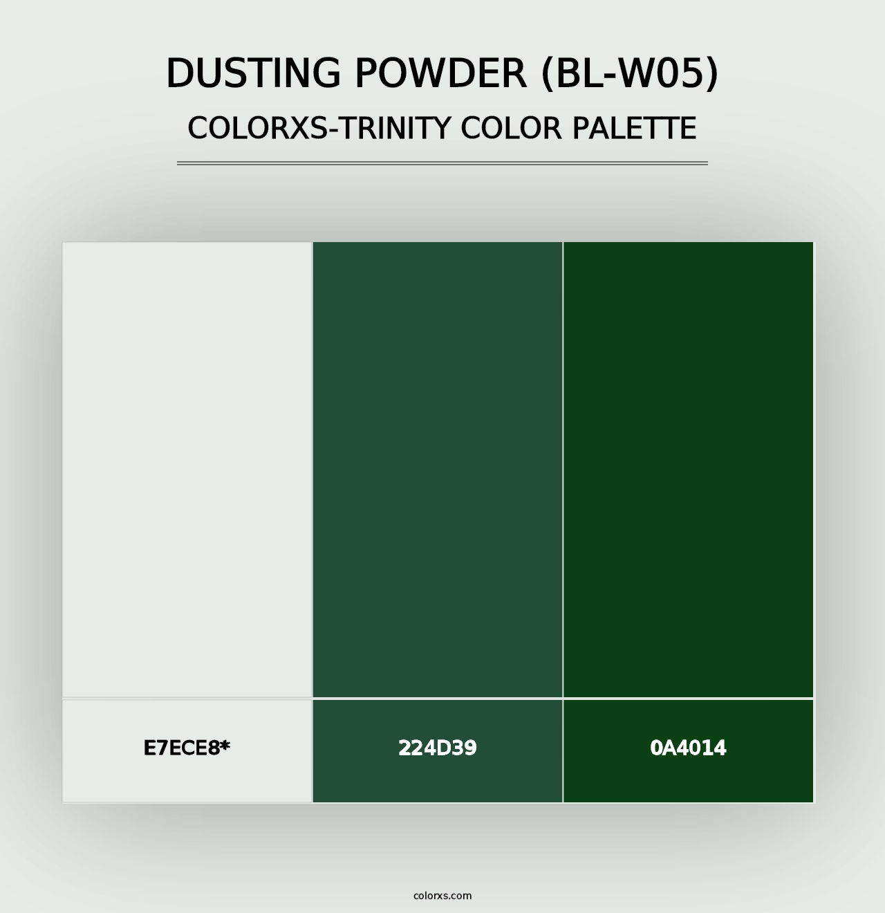 Dusting Powder (BL-W05) - Colorxs Trinity Palette