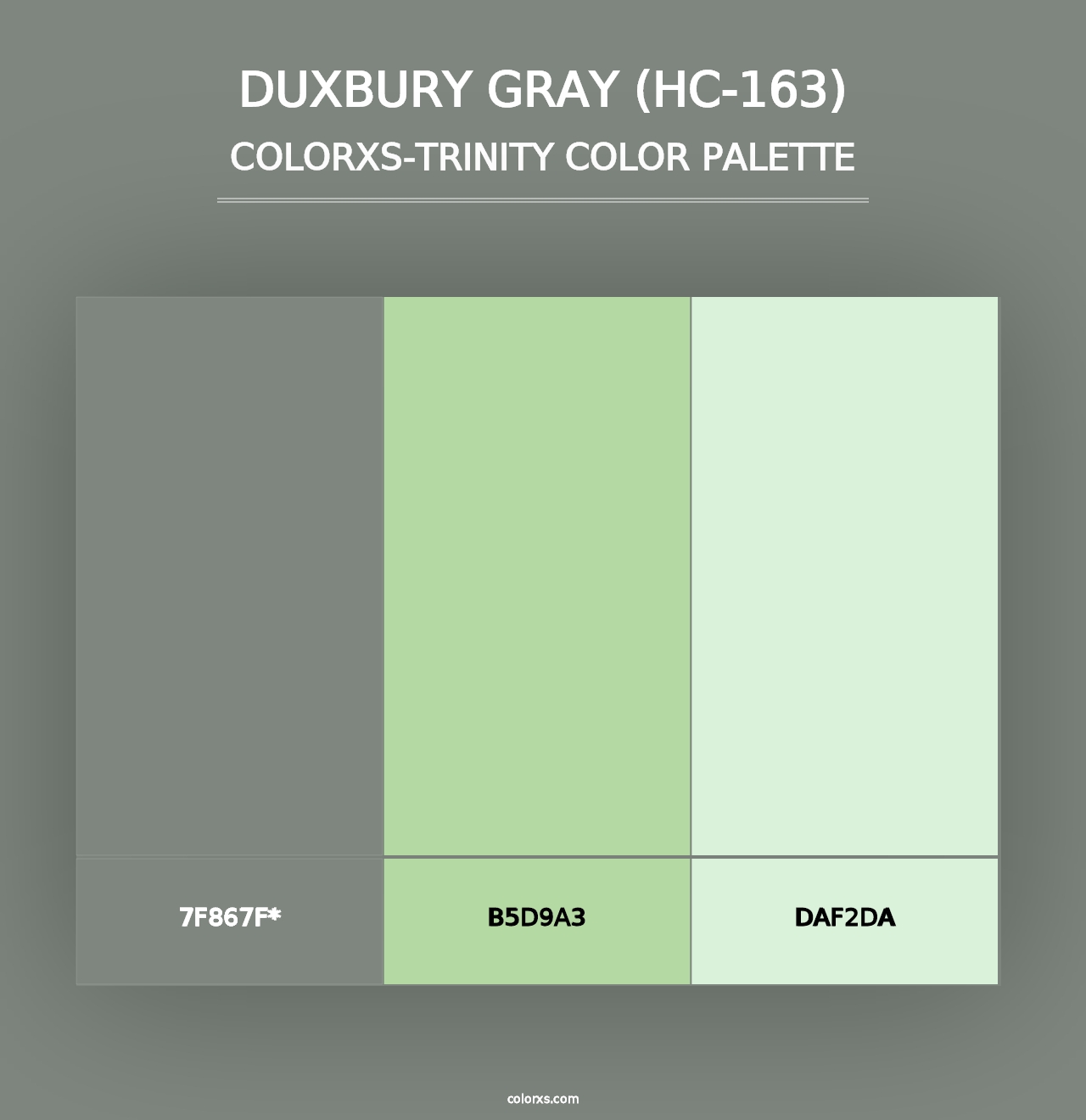 Duxbury Gray (HC-163) - Colorxs Trinity Palette