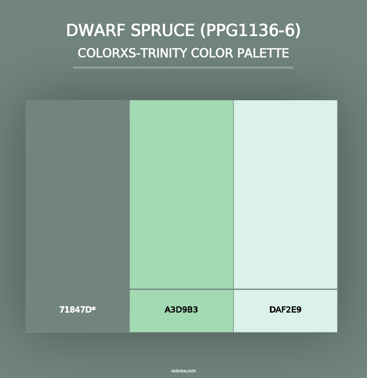 Dwarf Spruce (PPG1136-6) - Colorxs Trinity Palette