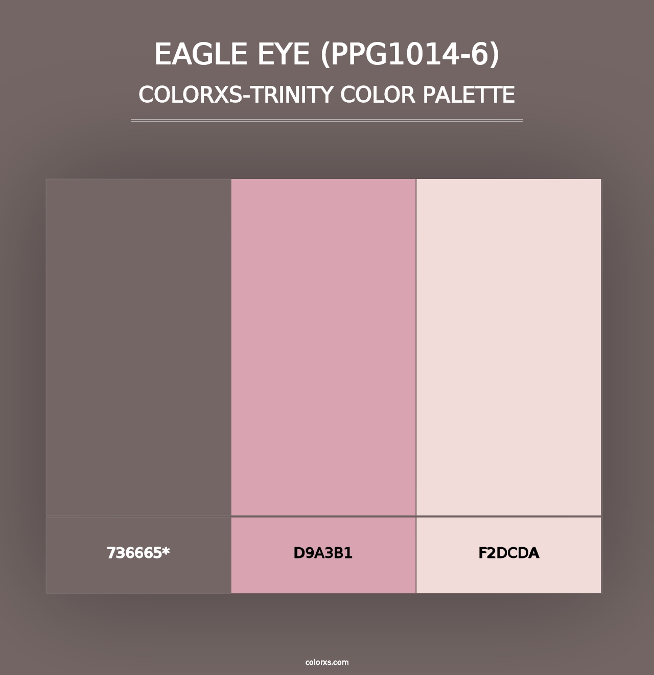 Eagle Eye (PPG1014-6) - Colorxs Trinity Palette