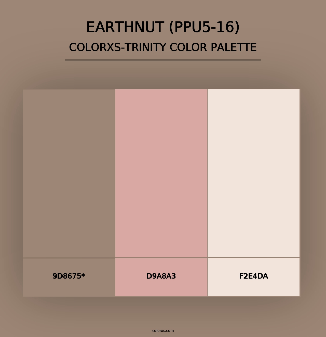 Earthnut (PPU5-16) - Colorxs Trinity Palette