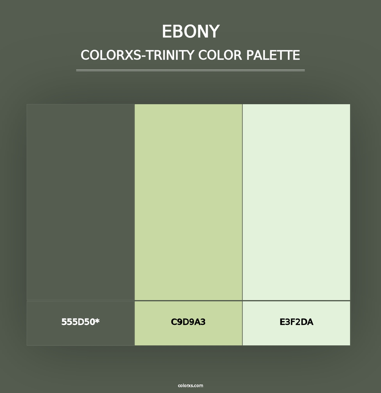 Ebony - Colorxs Trinity Palette