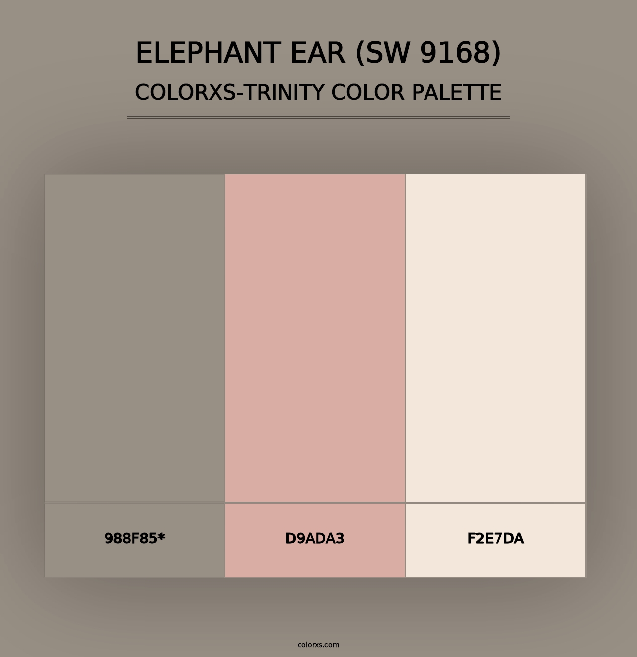 Elephant Ear (SW 9168) - Colorxs Trinity Palette