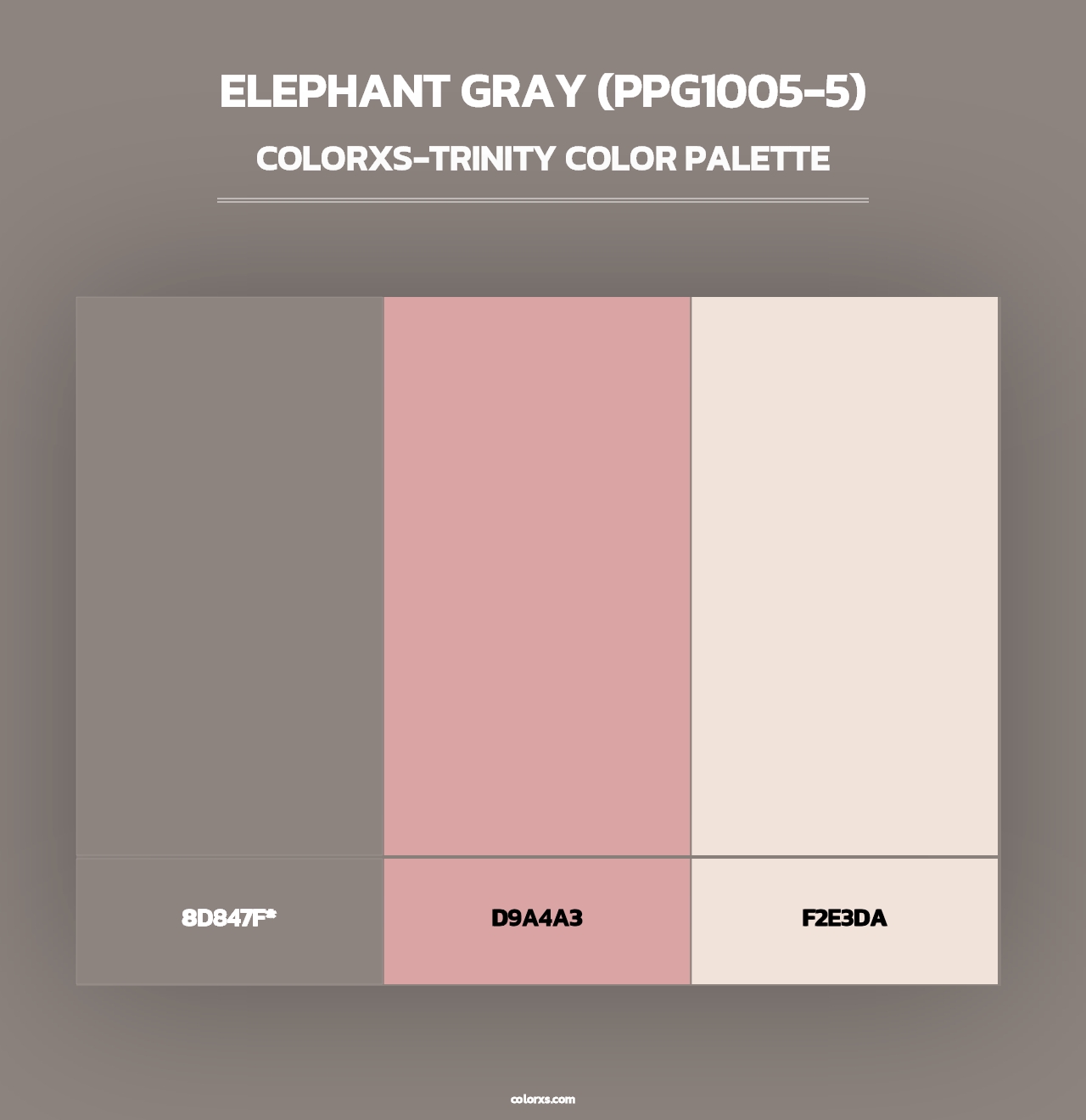 Elephant Gray (PPG1005-5) - Colorxs Trinity Palette