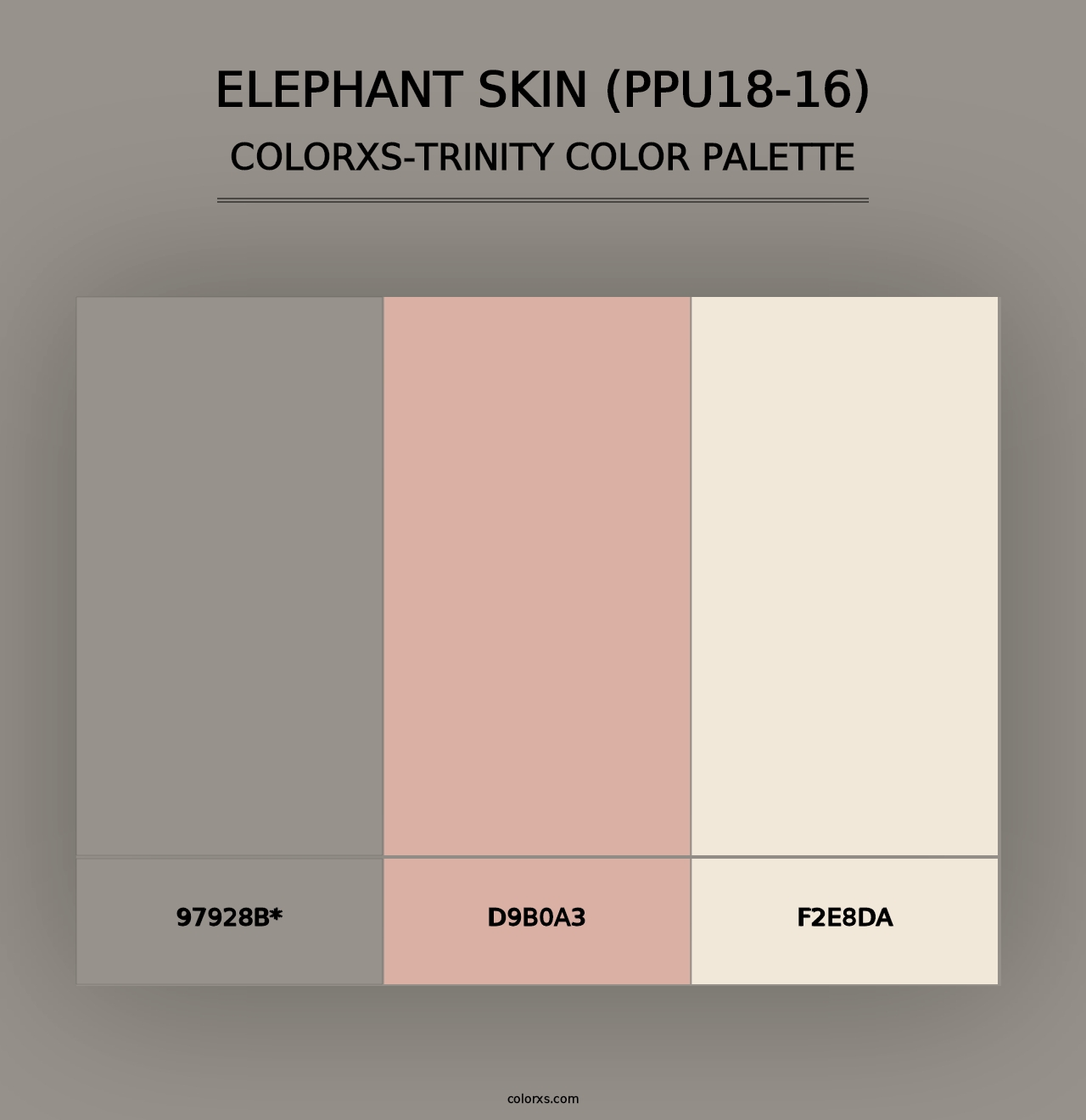 Elephant Skin (PPU18-16) - Colorxs Trinity Palette