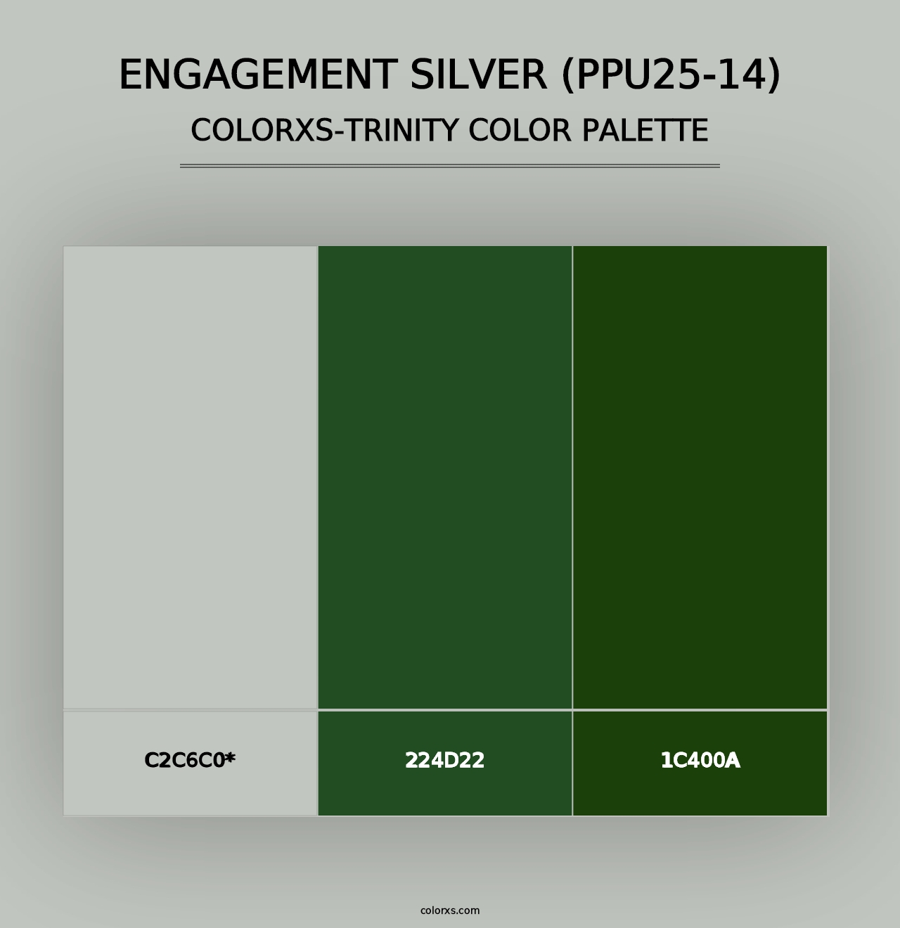 Engagement Silver (PPU25-14) - Colorxs Trinity Palette