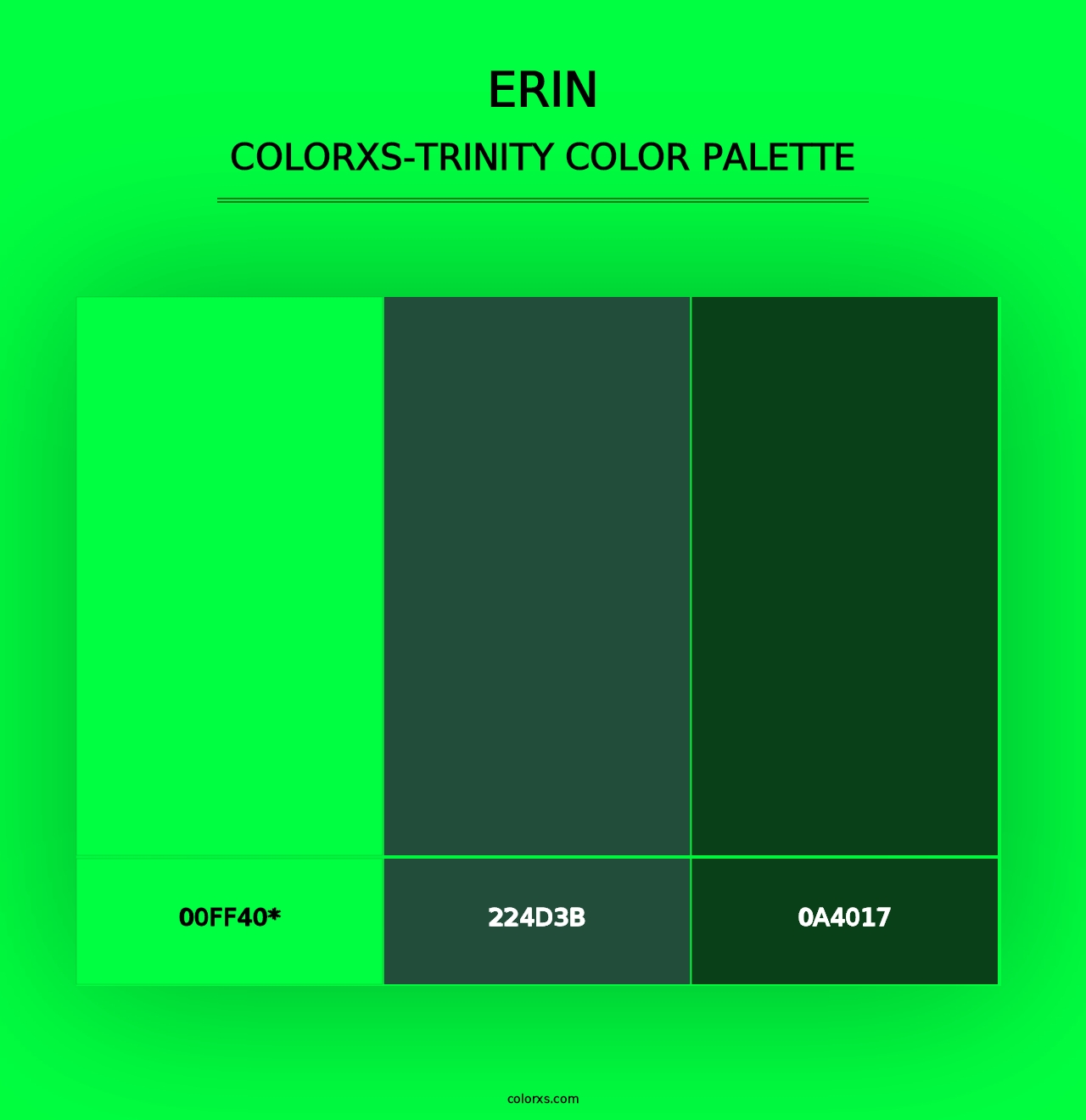 Erin - Colorxs Trinity Palette