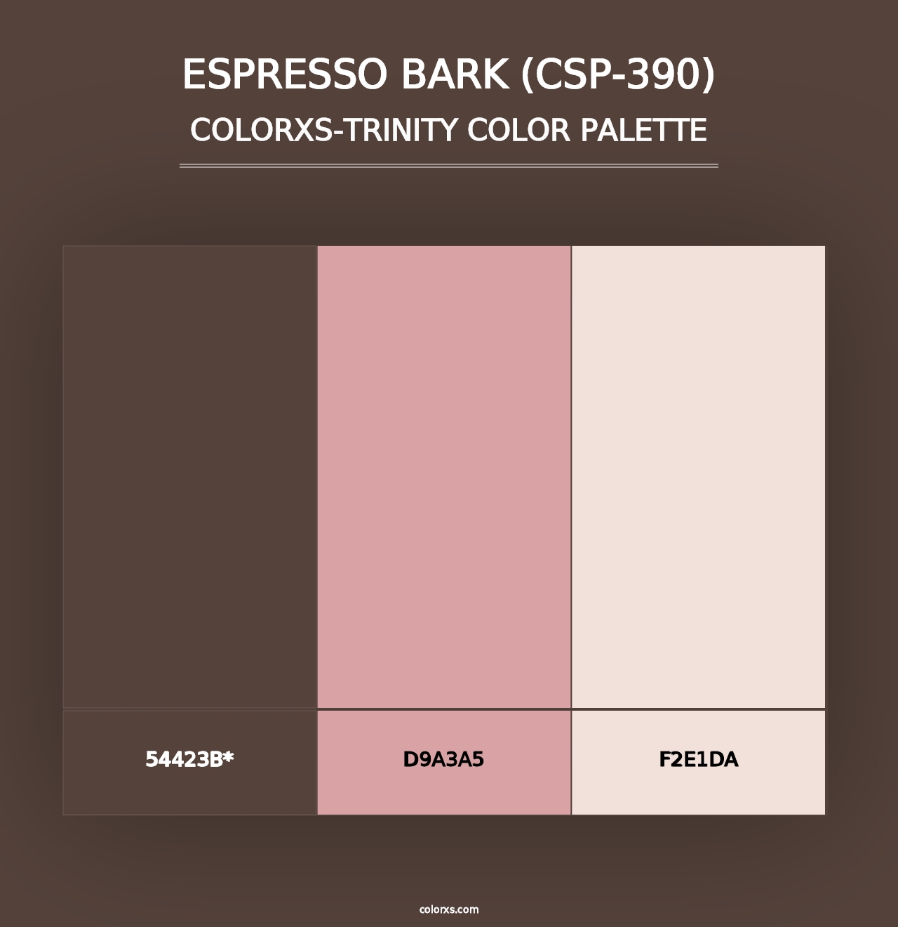 Espresso Bark (CSP-390) - Colorxs Trinity Palette