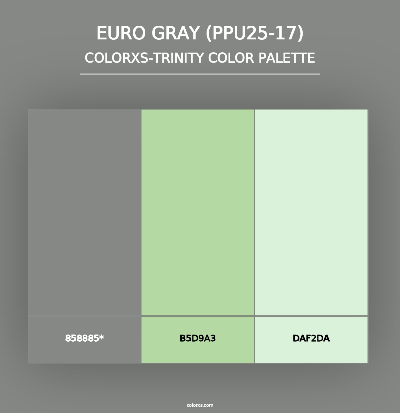 Euro Gray (PPU25-17) - Colorxs Trinity Palette