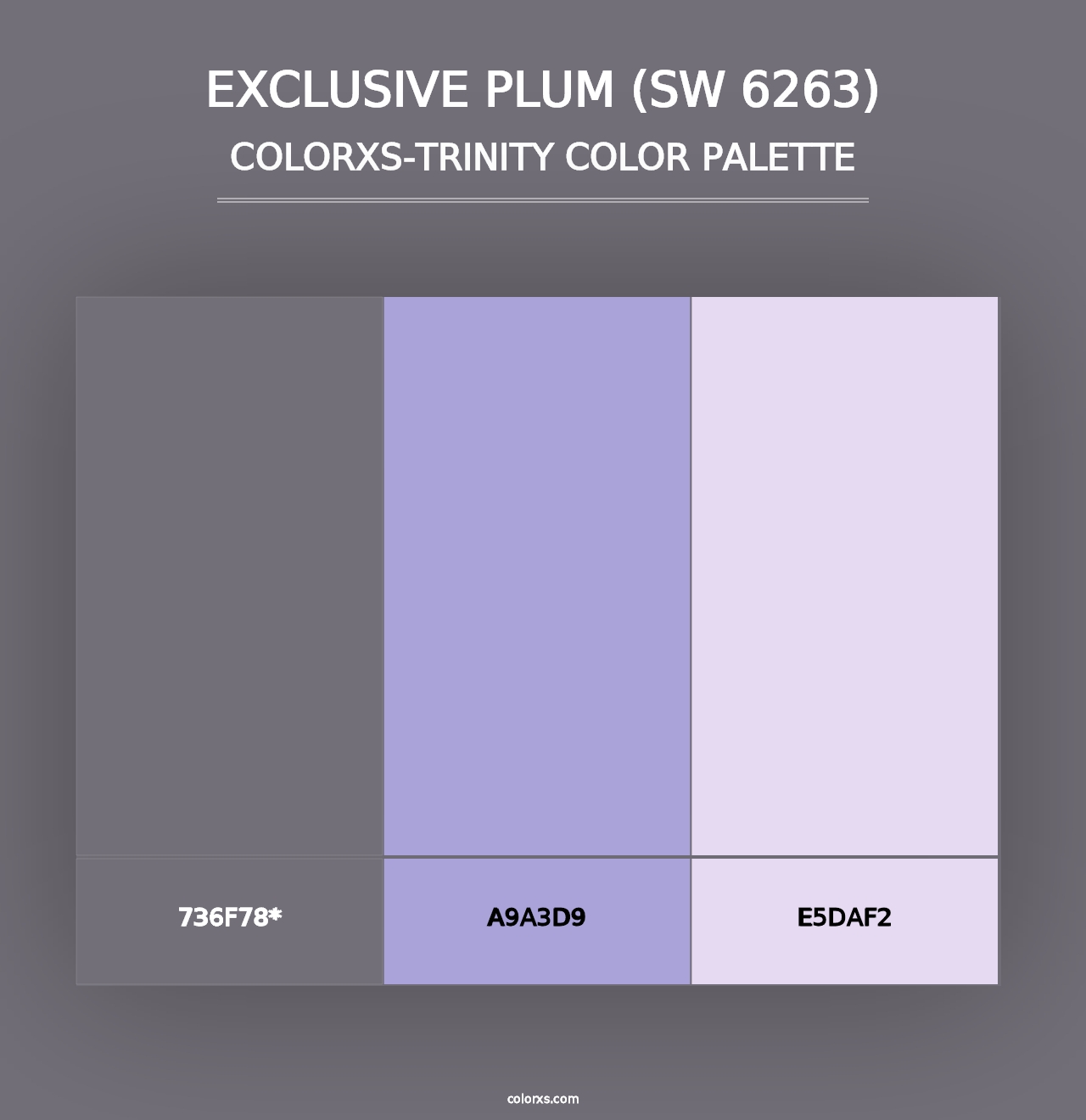 Exclusive Plum (SW 6263) - Colorxs Trinity Palette