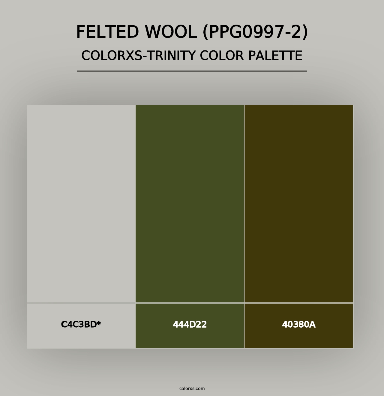 Felted Wool (PPG0997-2) - Colorxs Trinity Palette