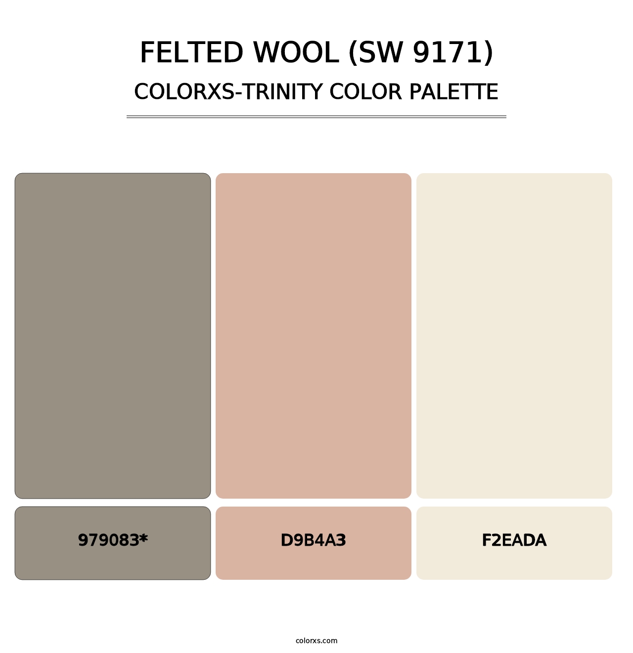 Felted Wool (SW 9171) - Colorxs Trinity Palette