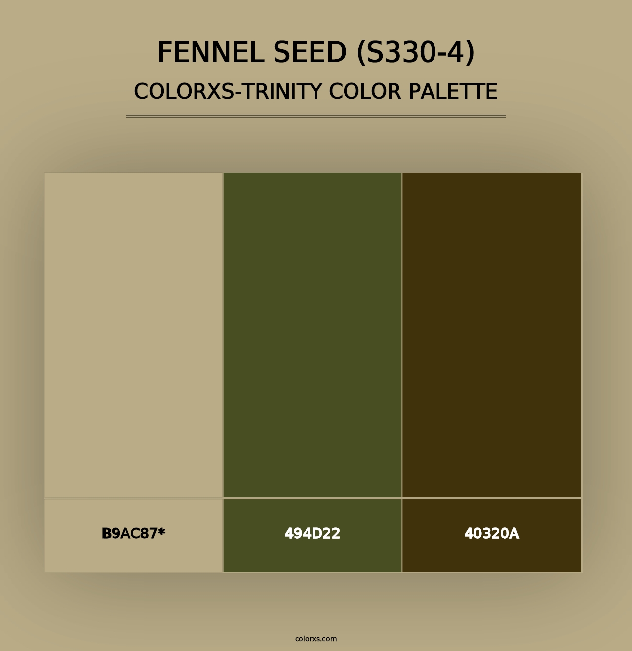 Fennel Seed (S330-4) - Colorxs Trinity Palette