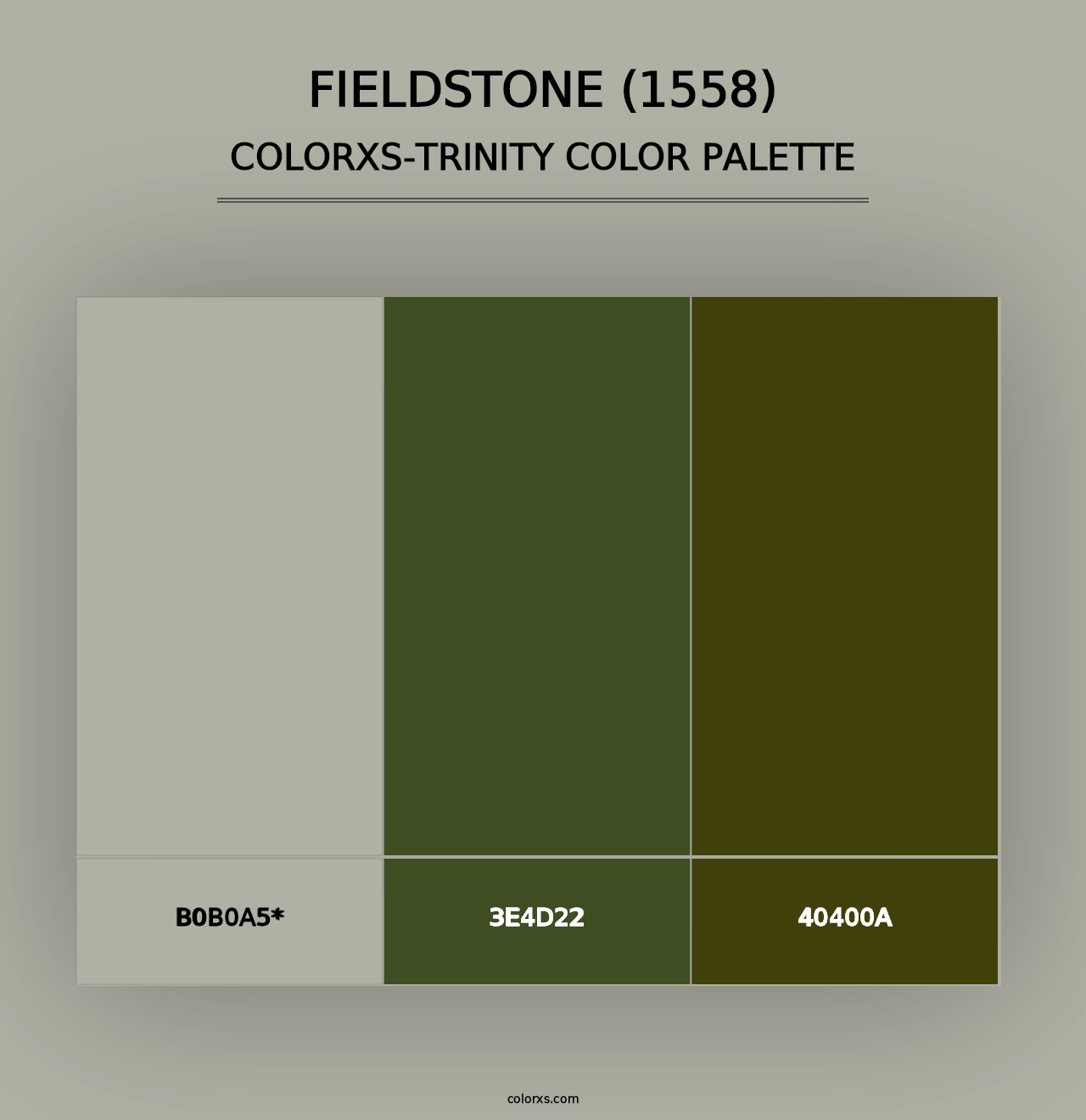 Fieldstone (1558) - Colorxs Trinity Palette