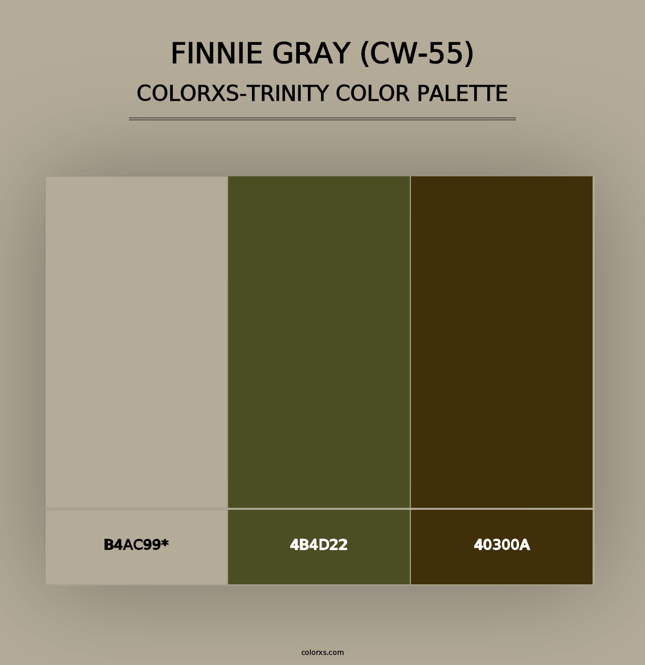 Finnie Gray (CW-55) - Colorxs Trinity Palette