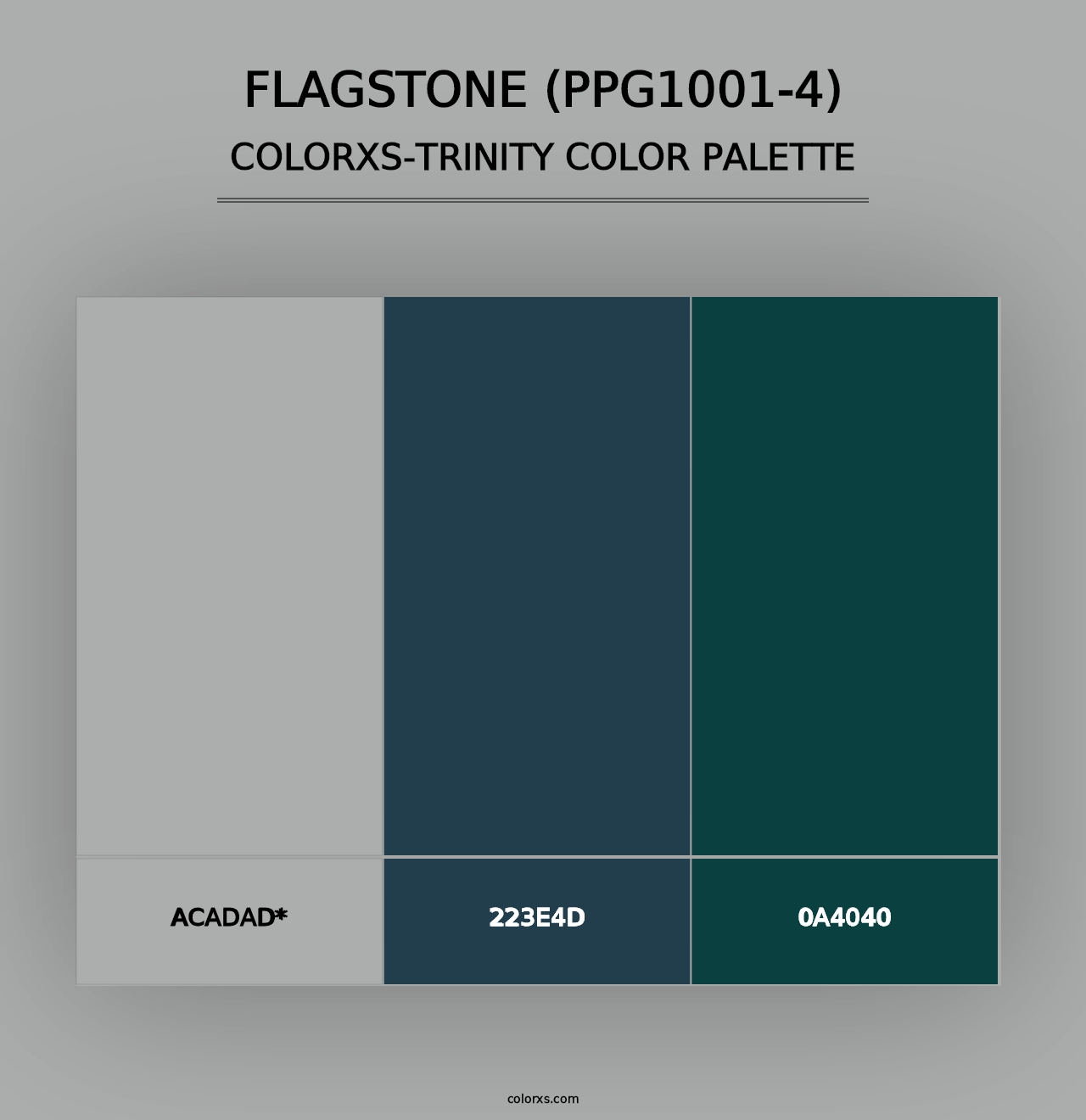 Flagstone (PPG1001-4) - Colorxs Trinity Palette