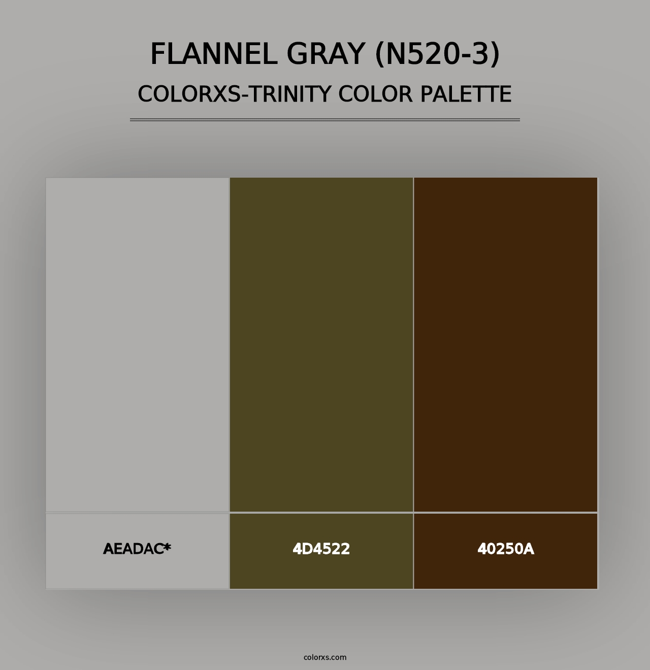 Flannel Gray (N520-3) - Colorxs Trinity Palette