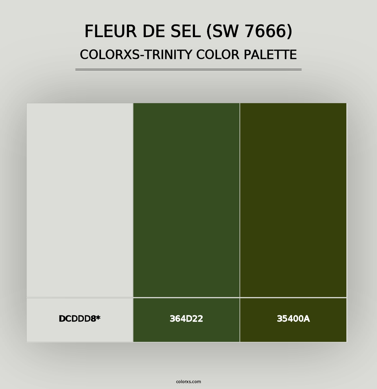 Fleur de Sel (SW 7666) - Colorxs Trinity Palette