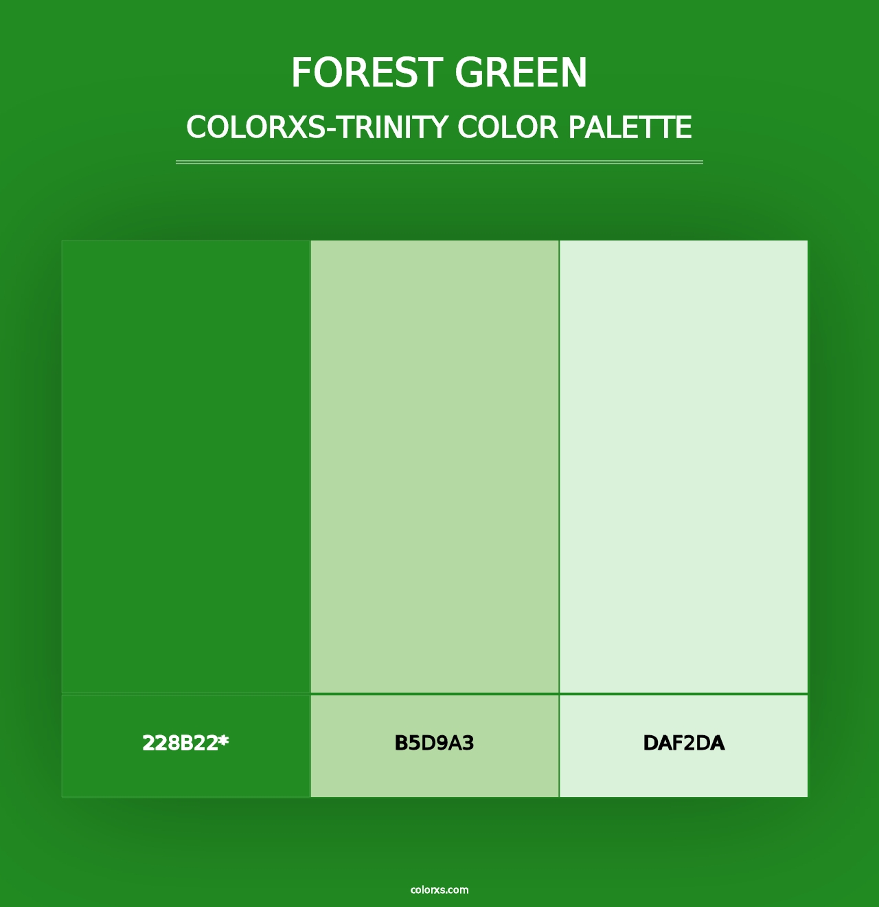 Forest green - Colorxs Trinity Palette