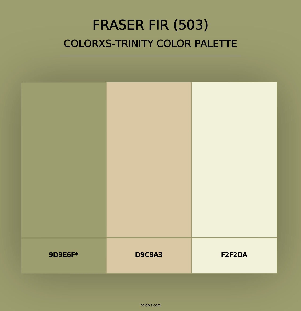 Fraser Fir (503) - Colorxs Trinity Palette