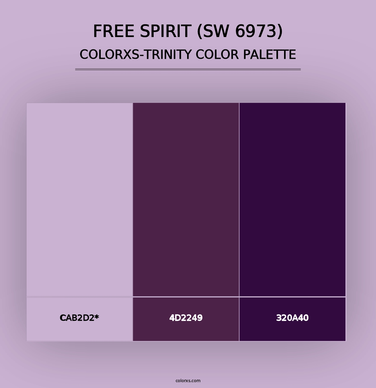 Free Spirit (SW 6973) - Colorxs Trinity Palette