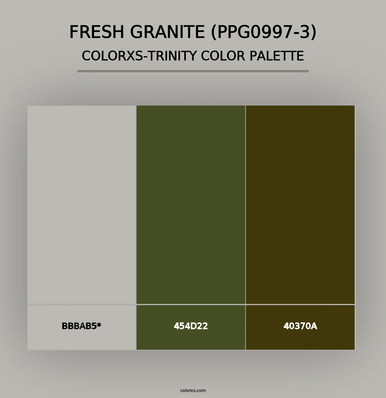 Fresh Granite (PPG0997-3) - Colorxs Trinity Palette