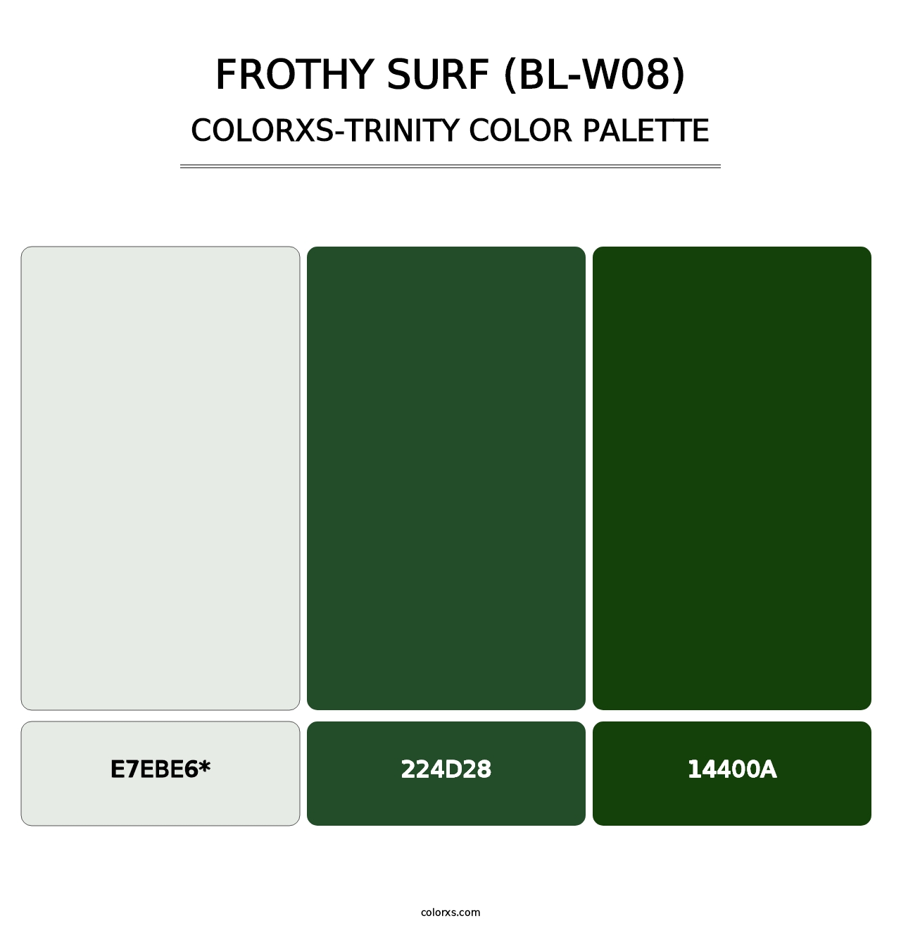 Frothy Surf (BL-W08) - Colorxs Trinity Palette