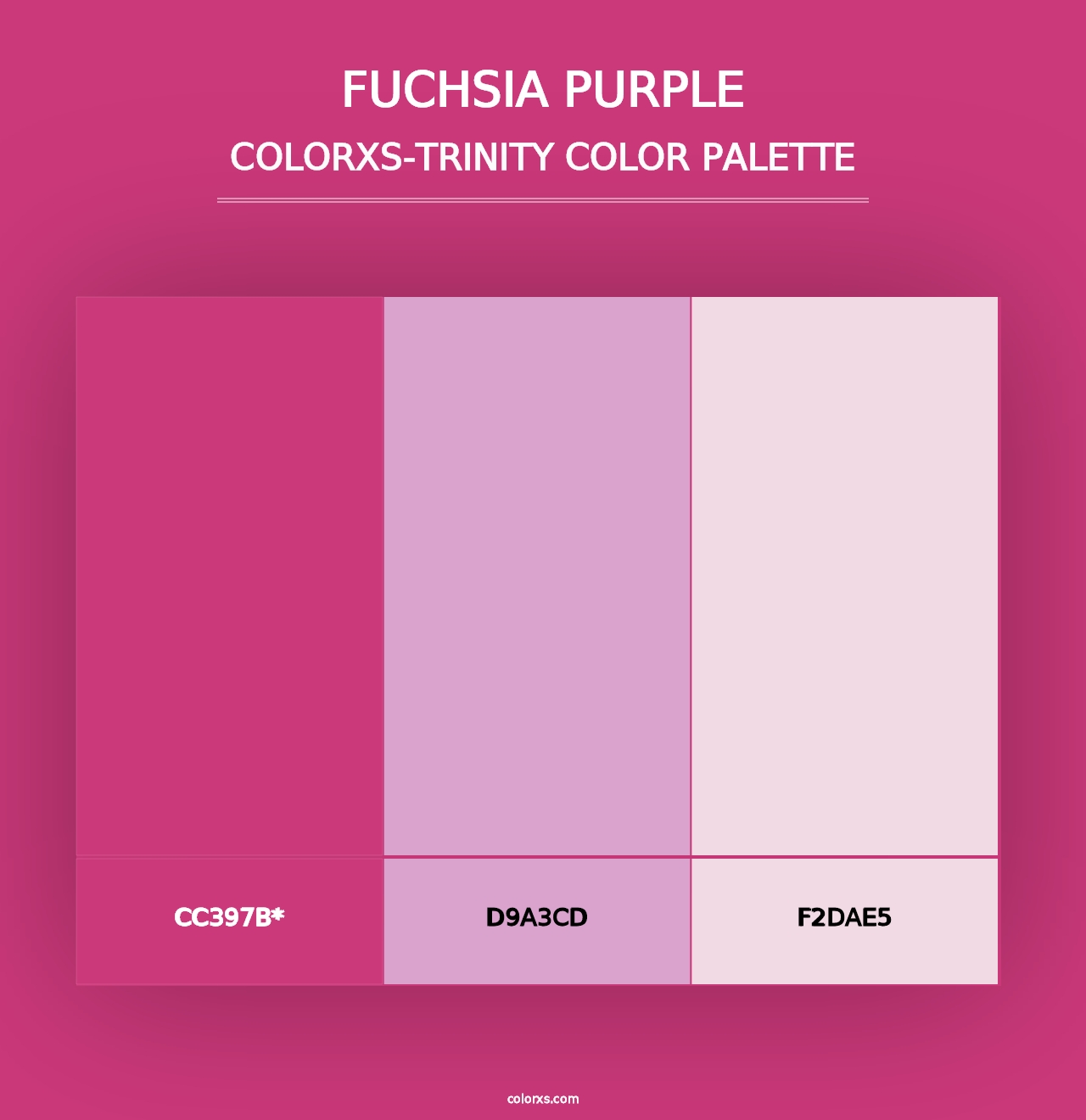 Fuchsia Purple - Colorxs Trinity Palette