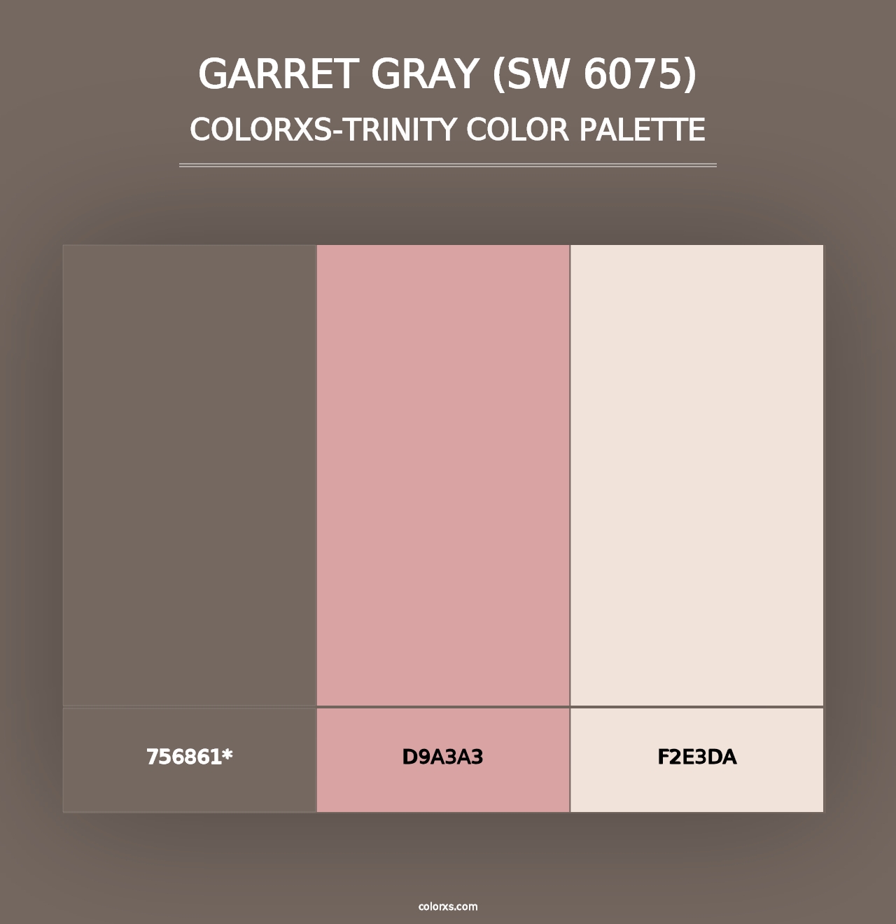 Garret Gray (SW 6075) - Colorxs Trinity Palette