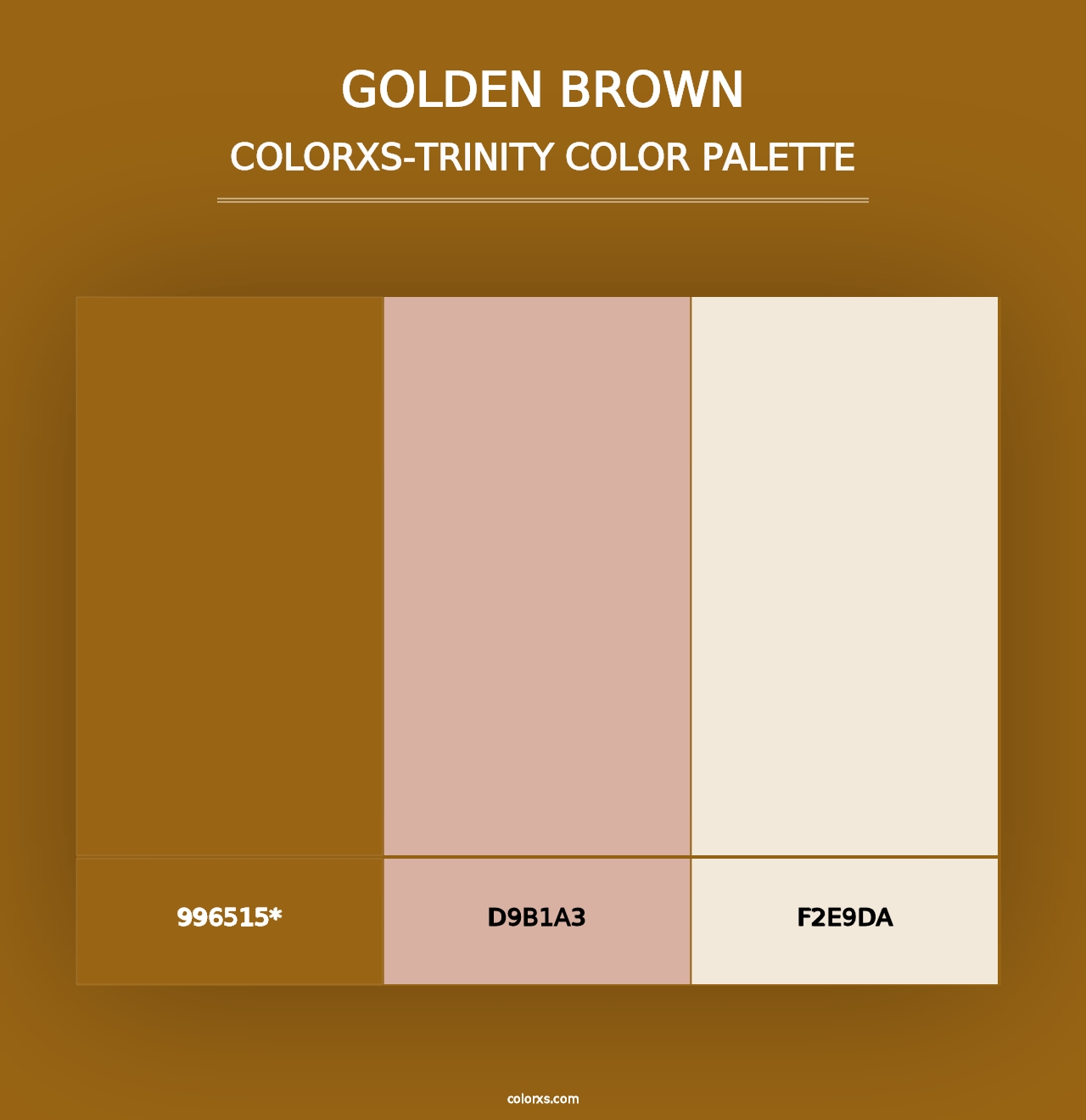 Golden brown - Colorxs Trinity Palette