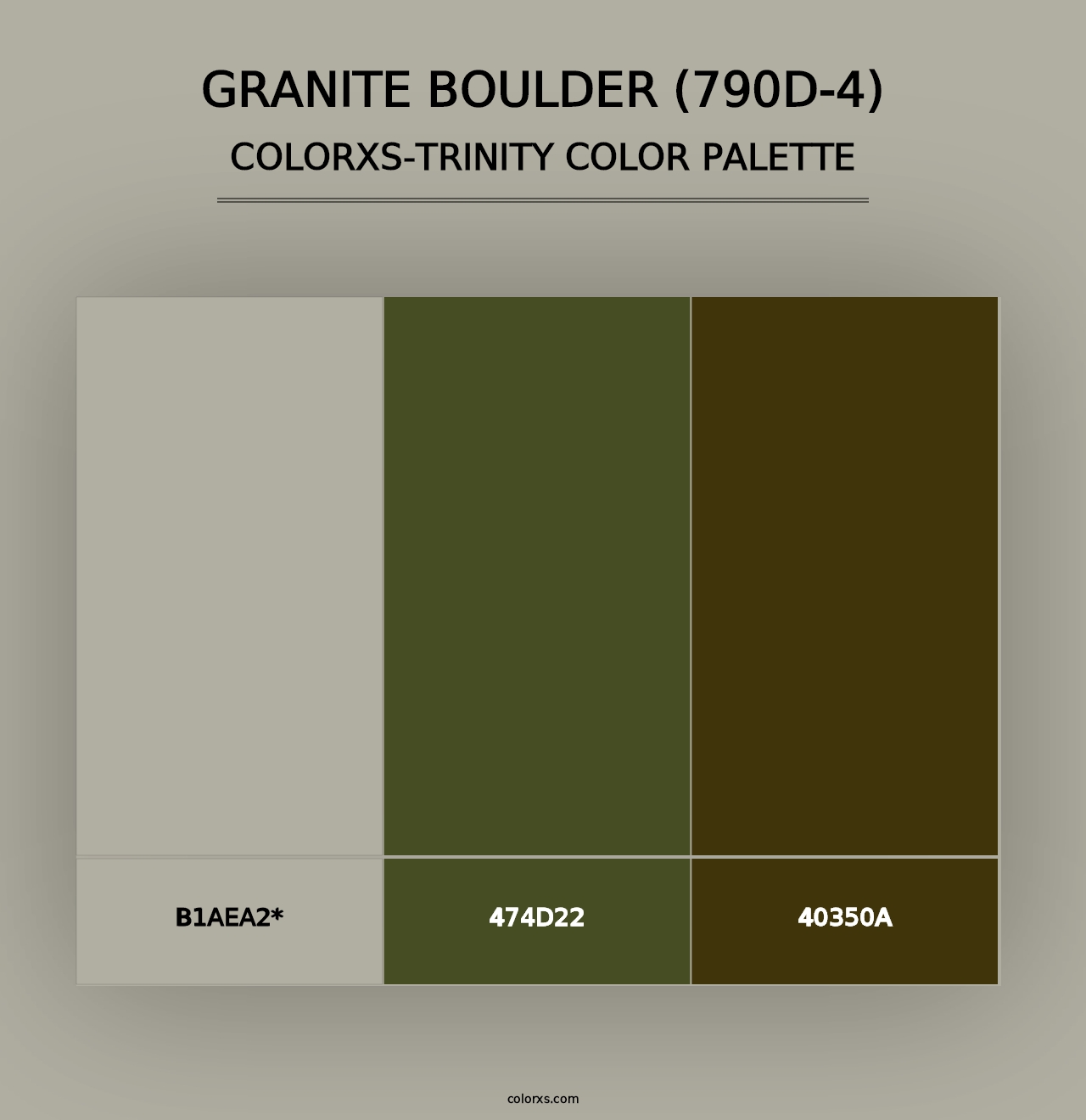 Granite Boulder (790D-4) - Colorxs Trinity Palette